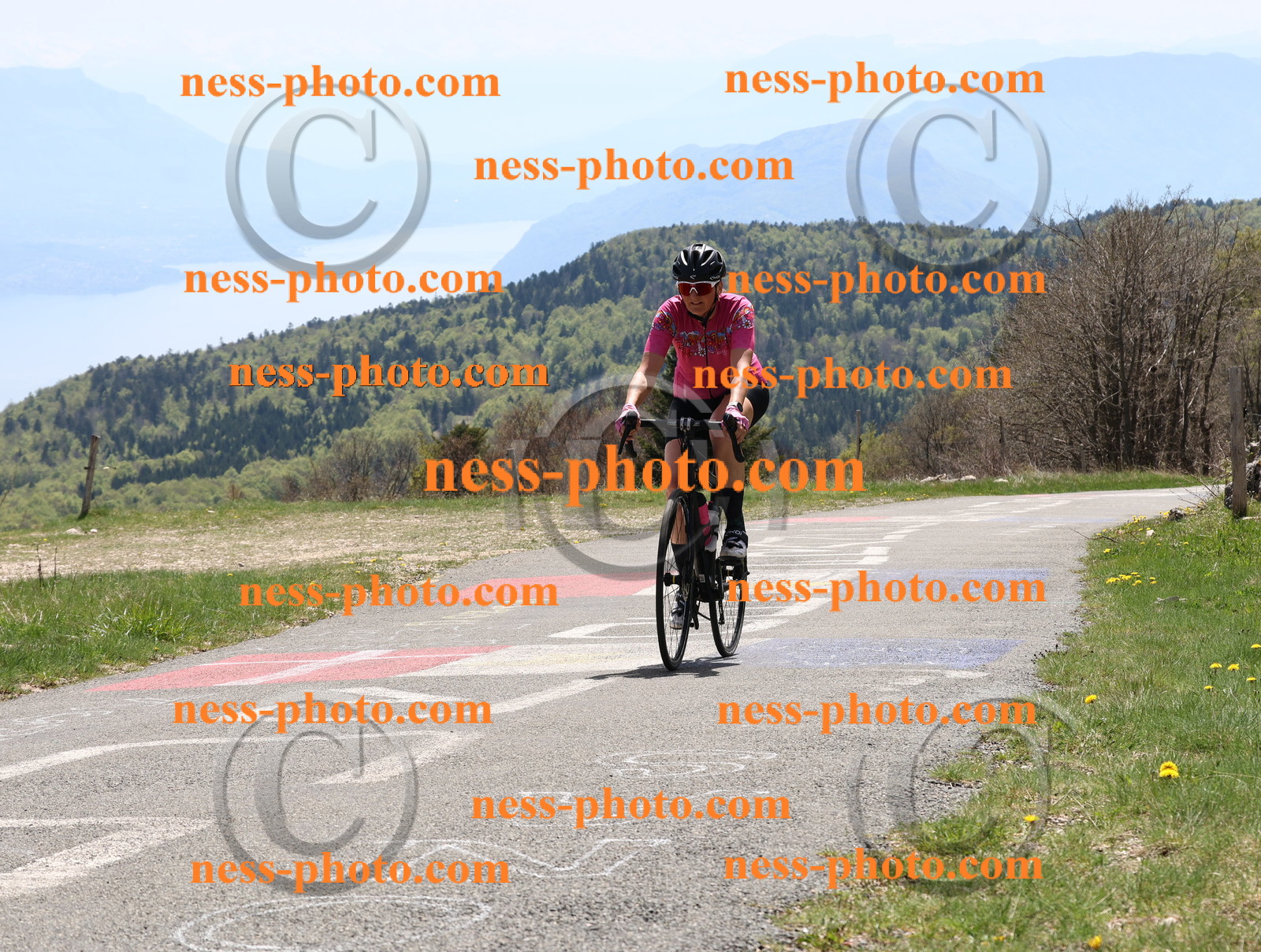 Col du Grand Colombier (633).JPG