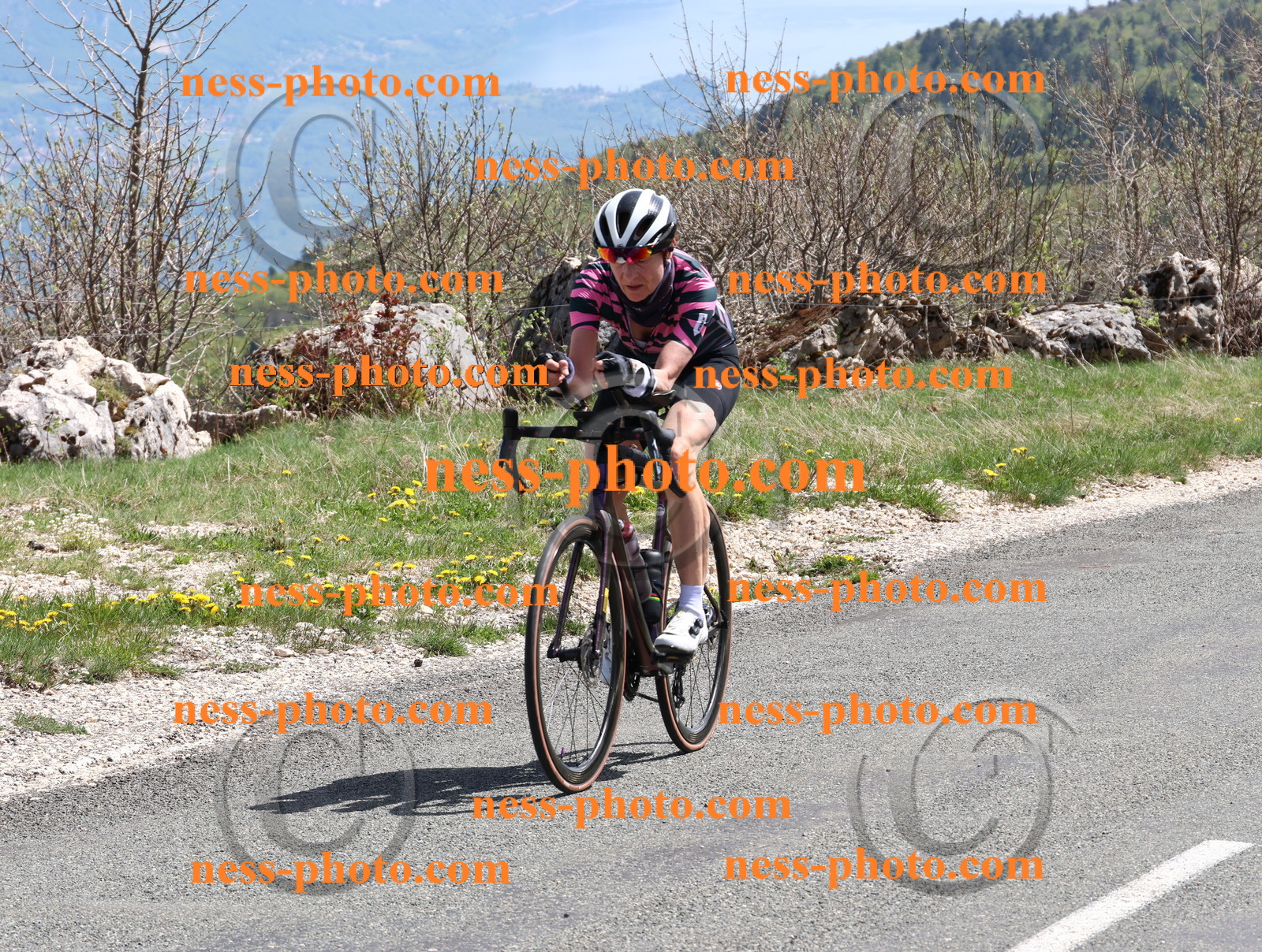 Col du Grand Colombier (923).JPG