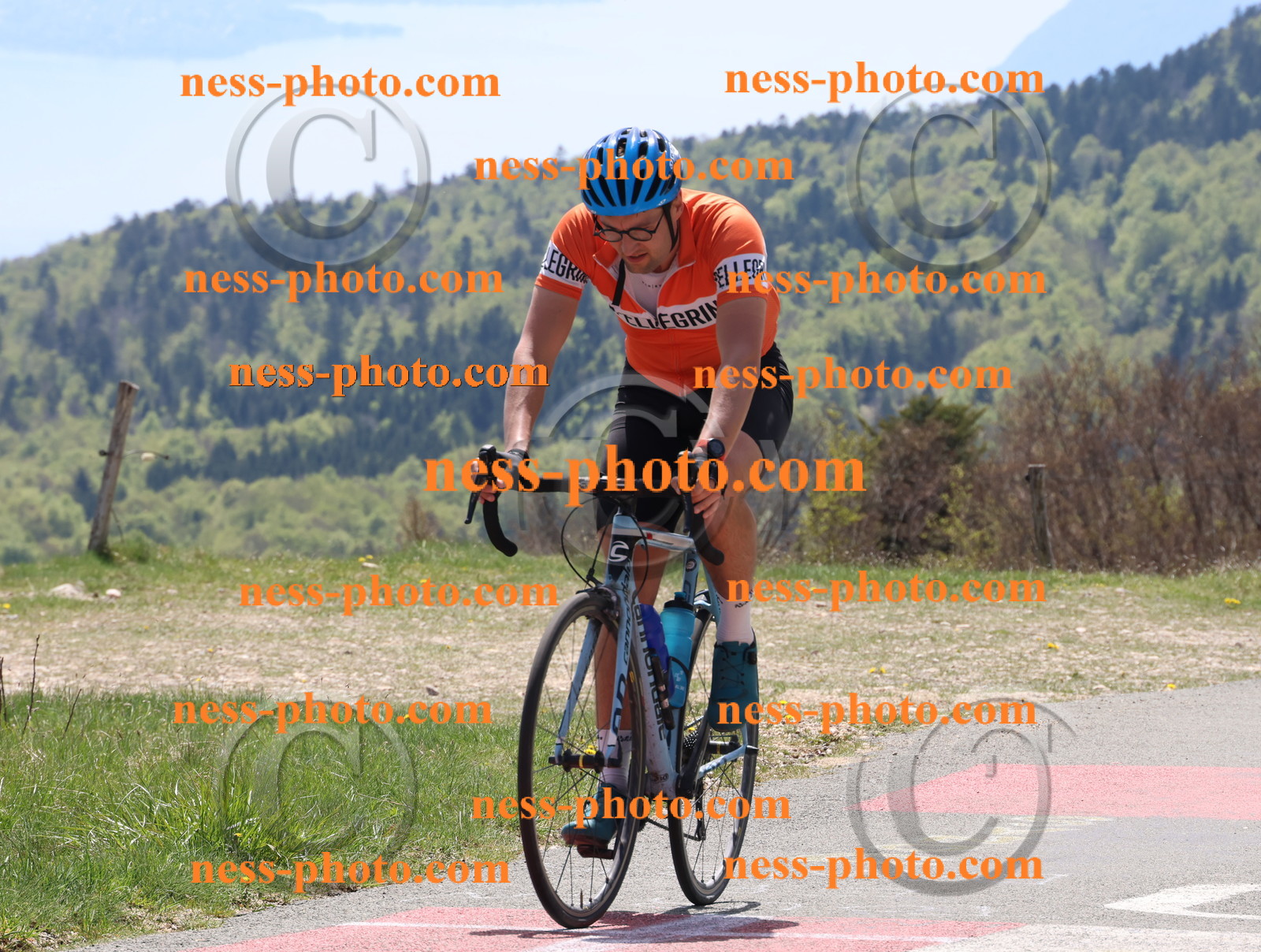 Col du Grand Colombier (320).JPG