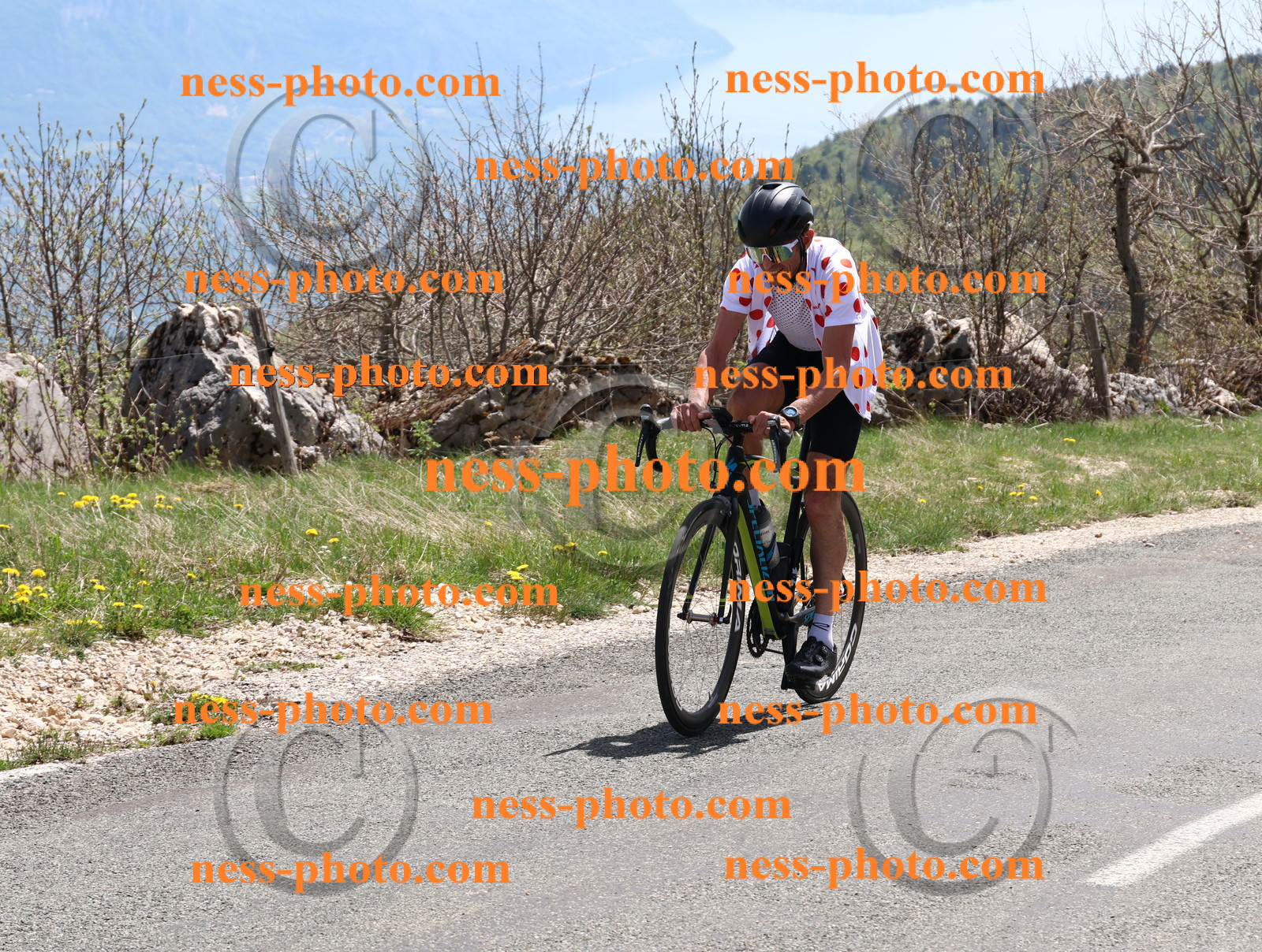 Col du Grand Colombier (672).JPG