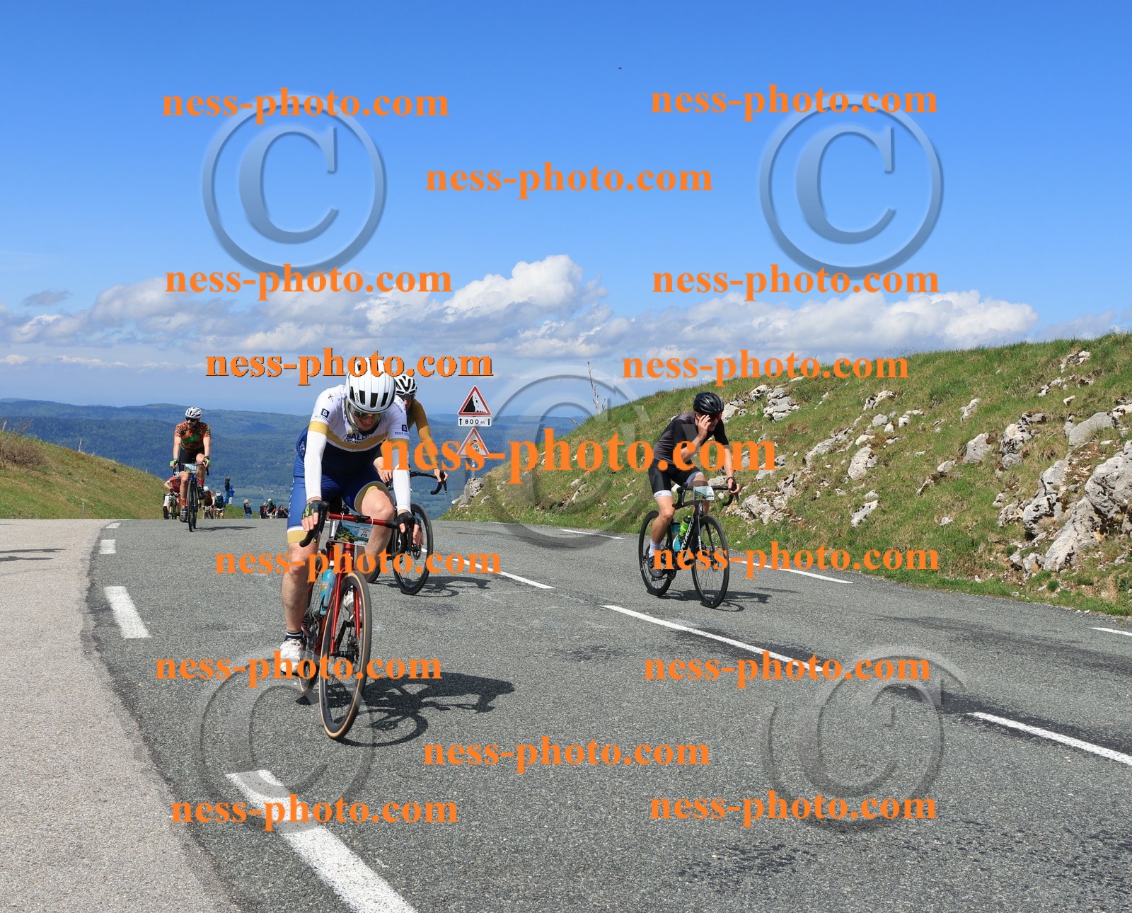 Col du Grand Colombier (1148).JPG