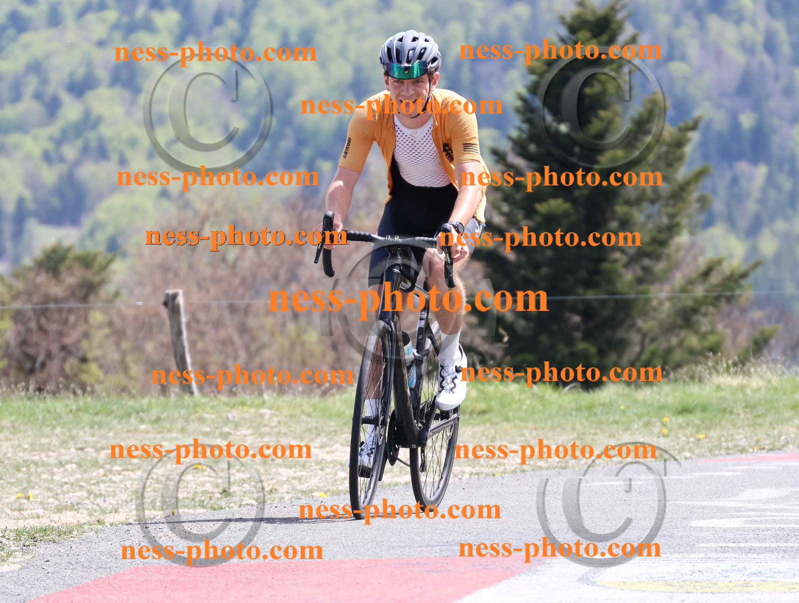 Col du Grand Colombier (941).JPG