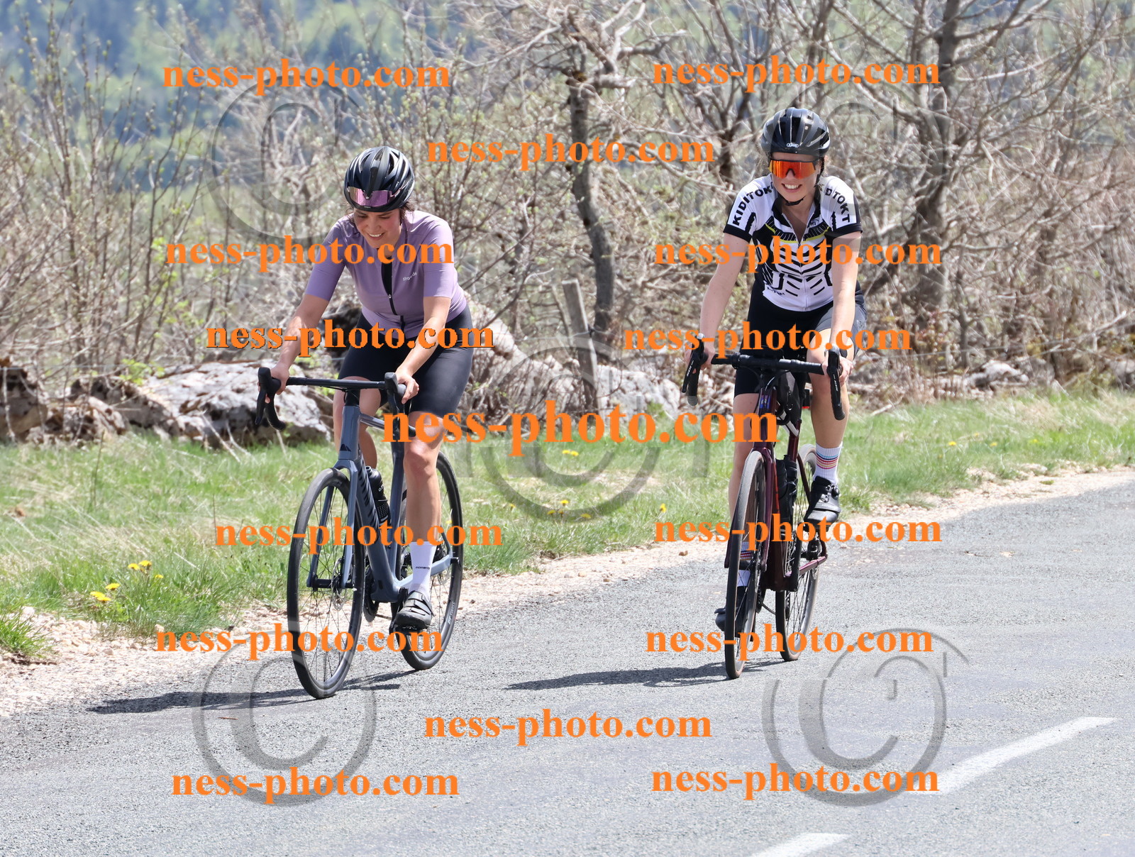 Col du Grand Colombier (868).JPG