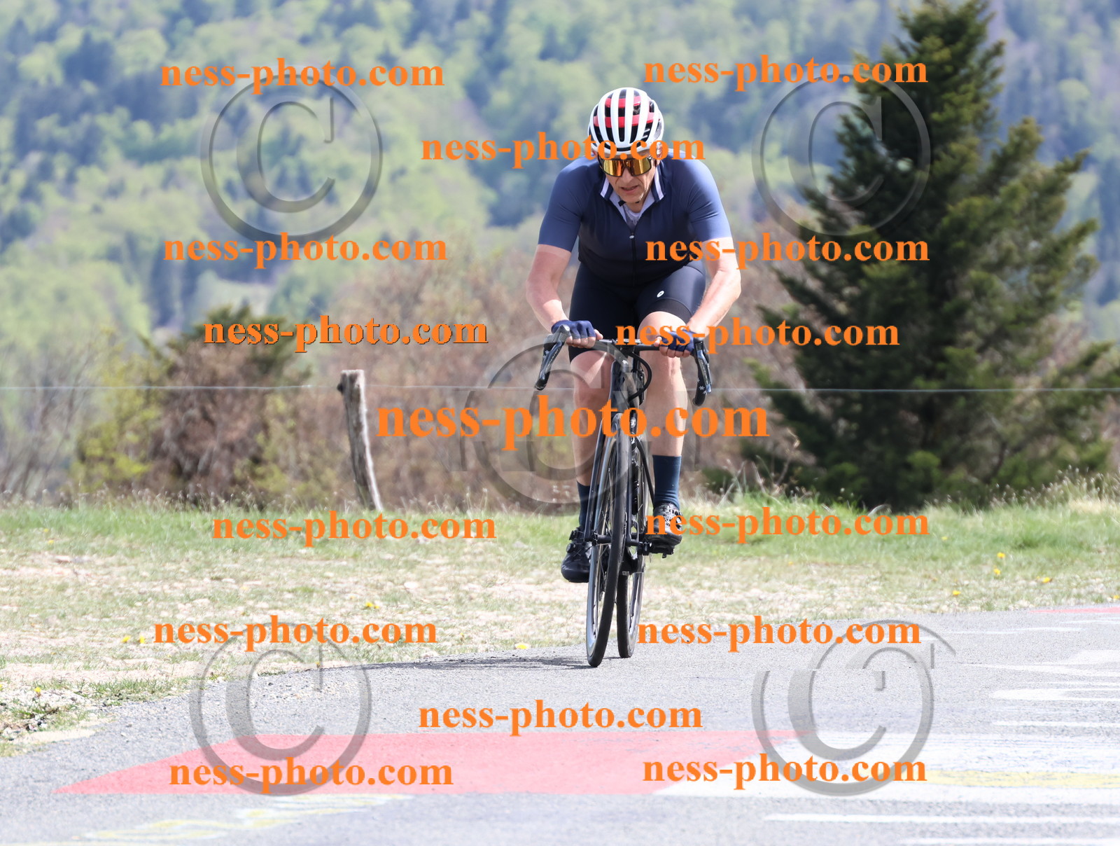 Col du Grand Colombier (1041).JPG