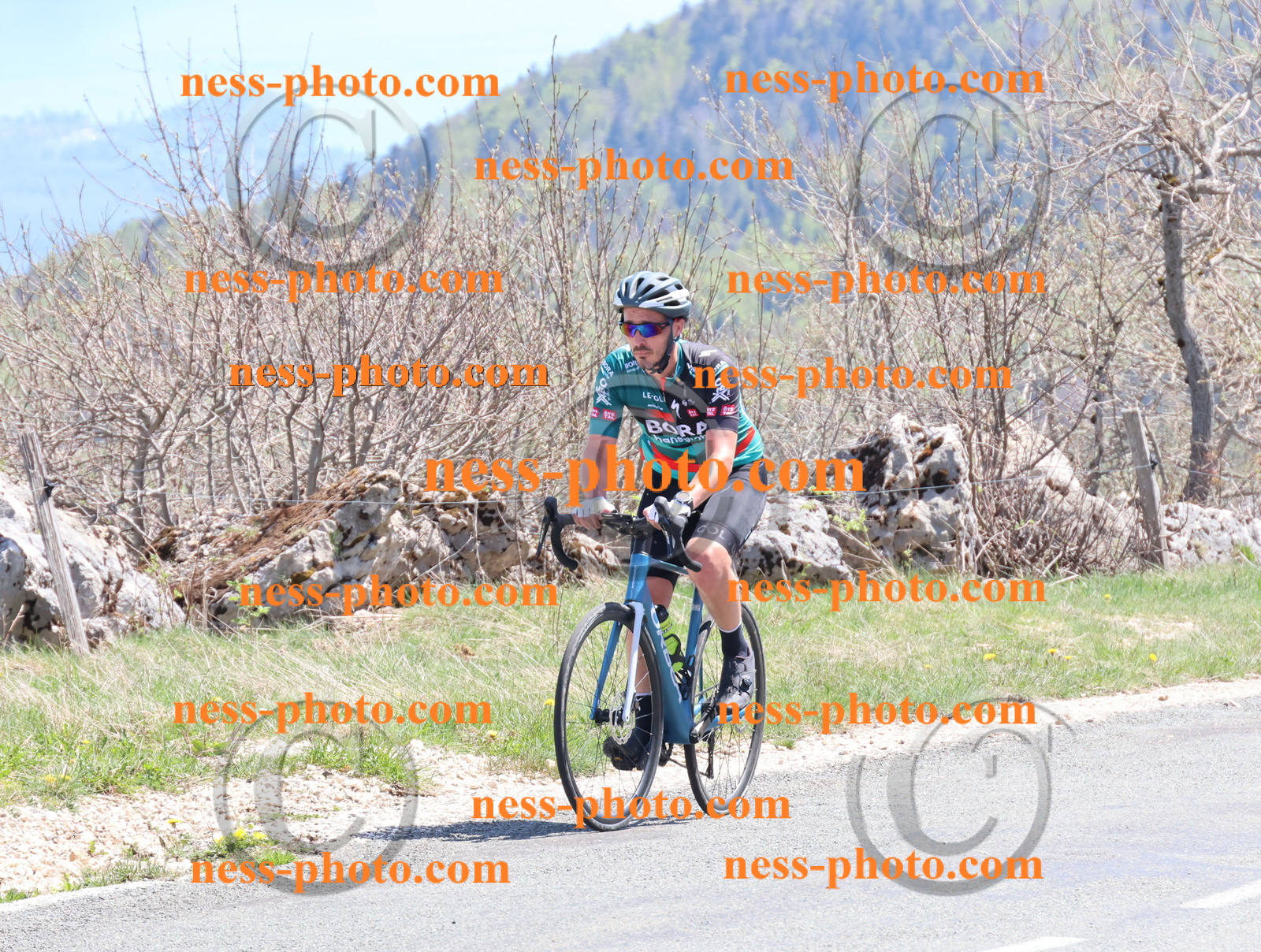 Col du Grand Colombier (876).JPG