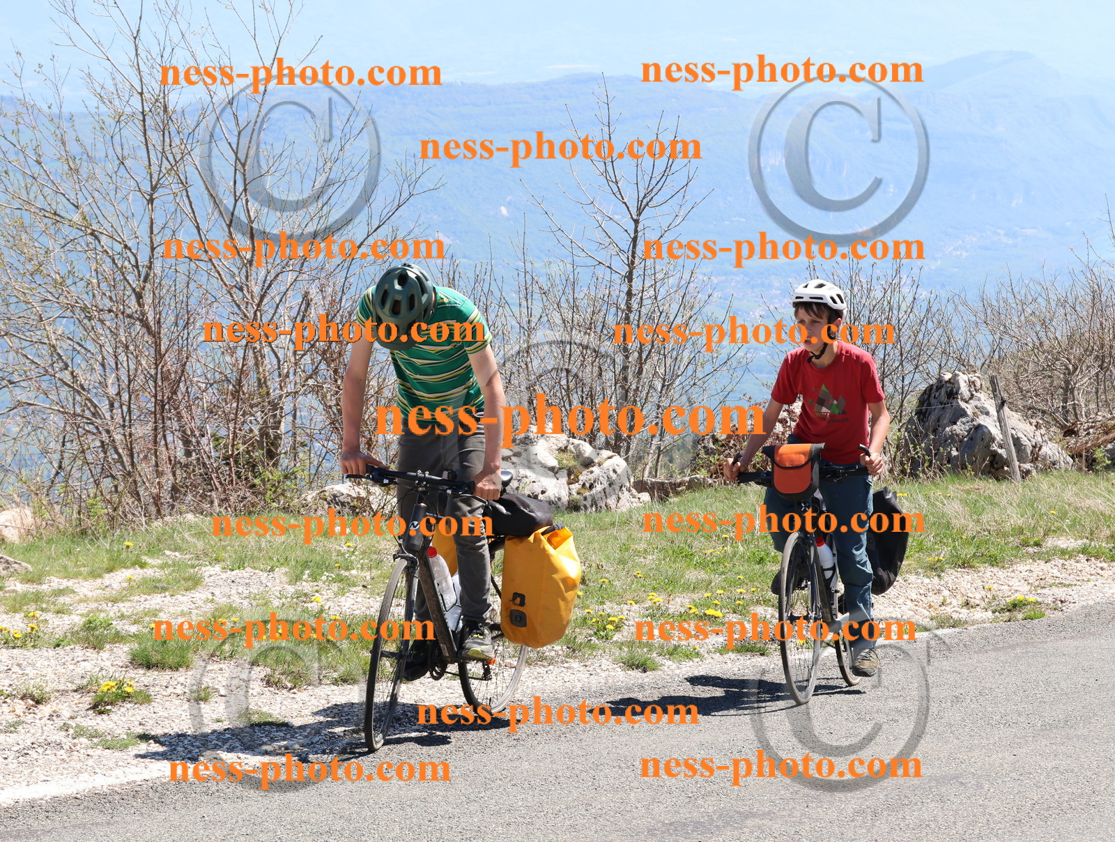Col du Grand Colombier (818).JPG