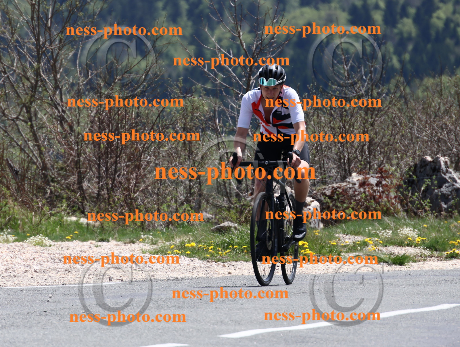 Col du Grand Colombier (758).JPG