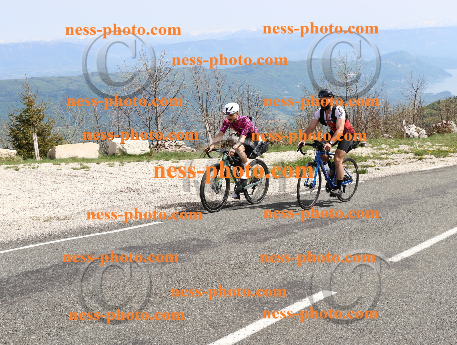 Col du Grand Colombier (993).JPG