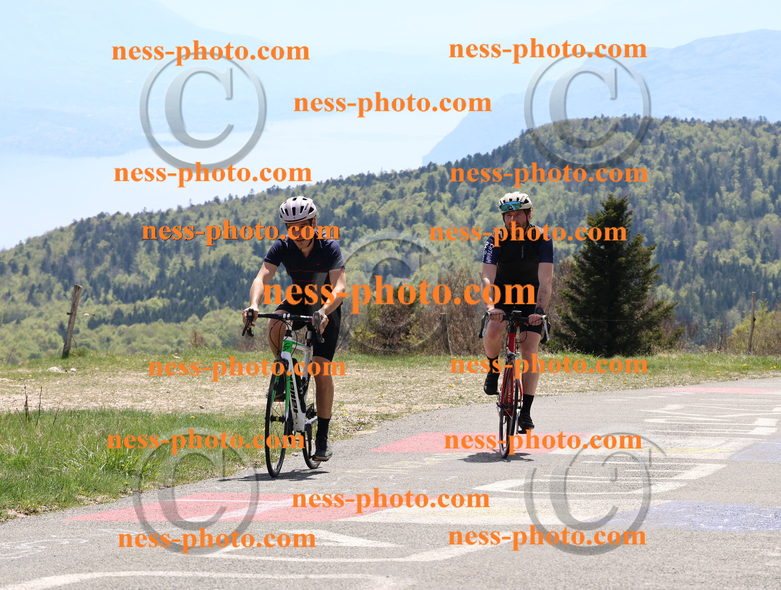 Col du Grand Colombier (595).JPG