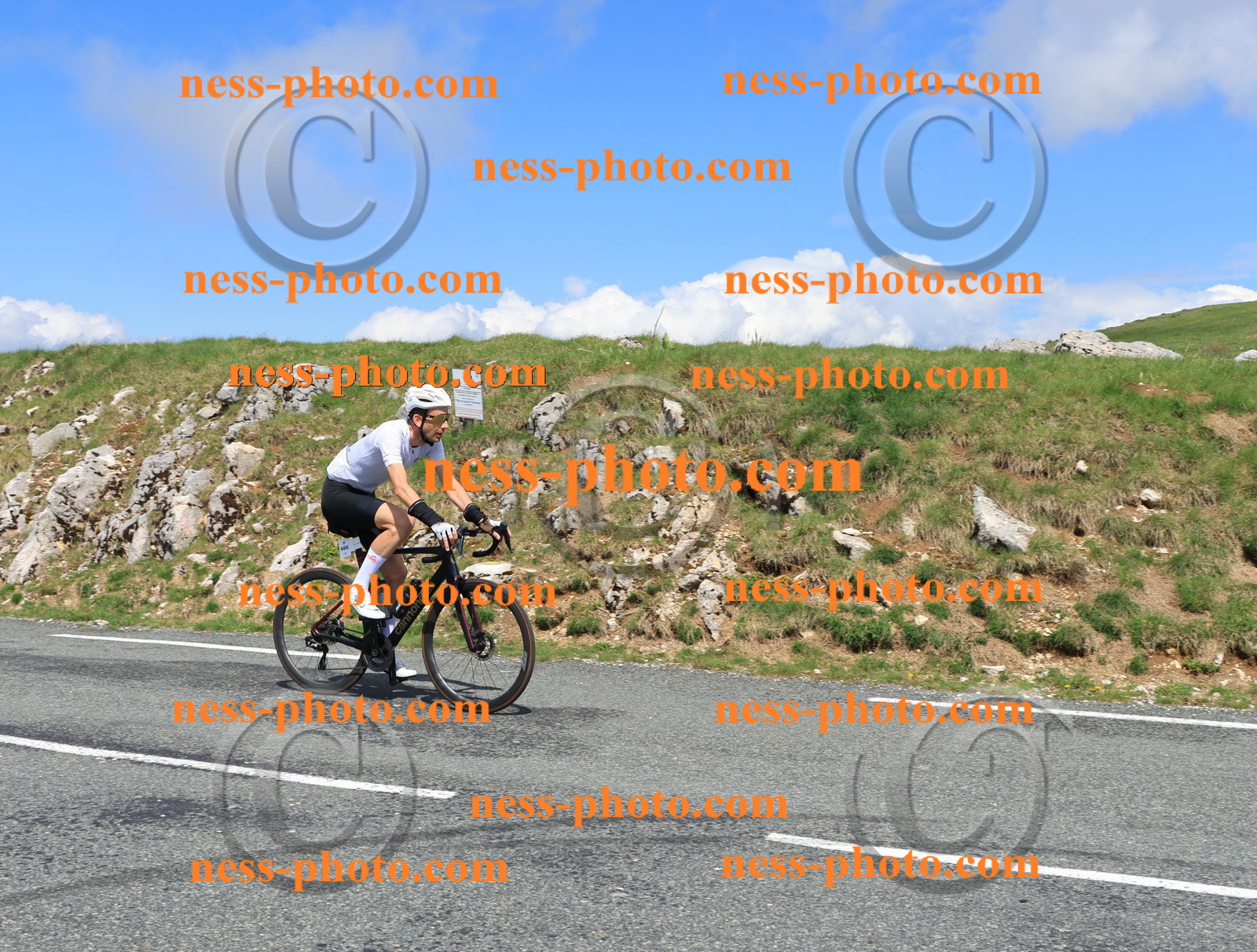 Col du Grand Colombier (1211).JPG