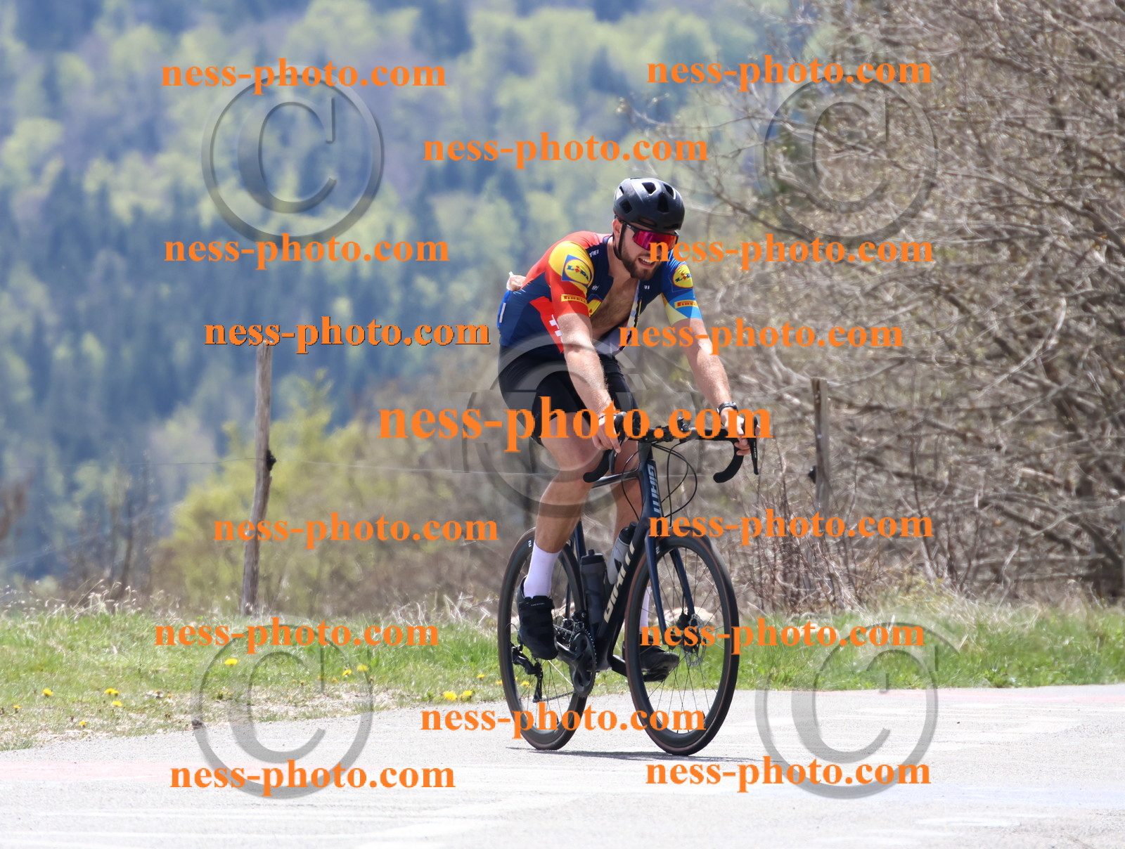 Col du Grand Colombier (351).JPG