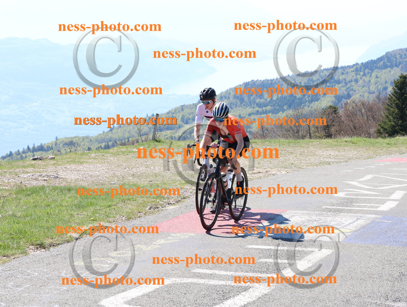 Col du Grand Colombier (65).JPG