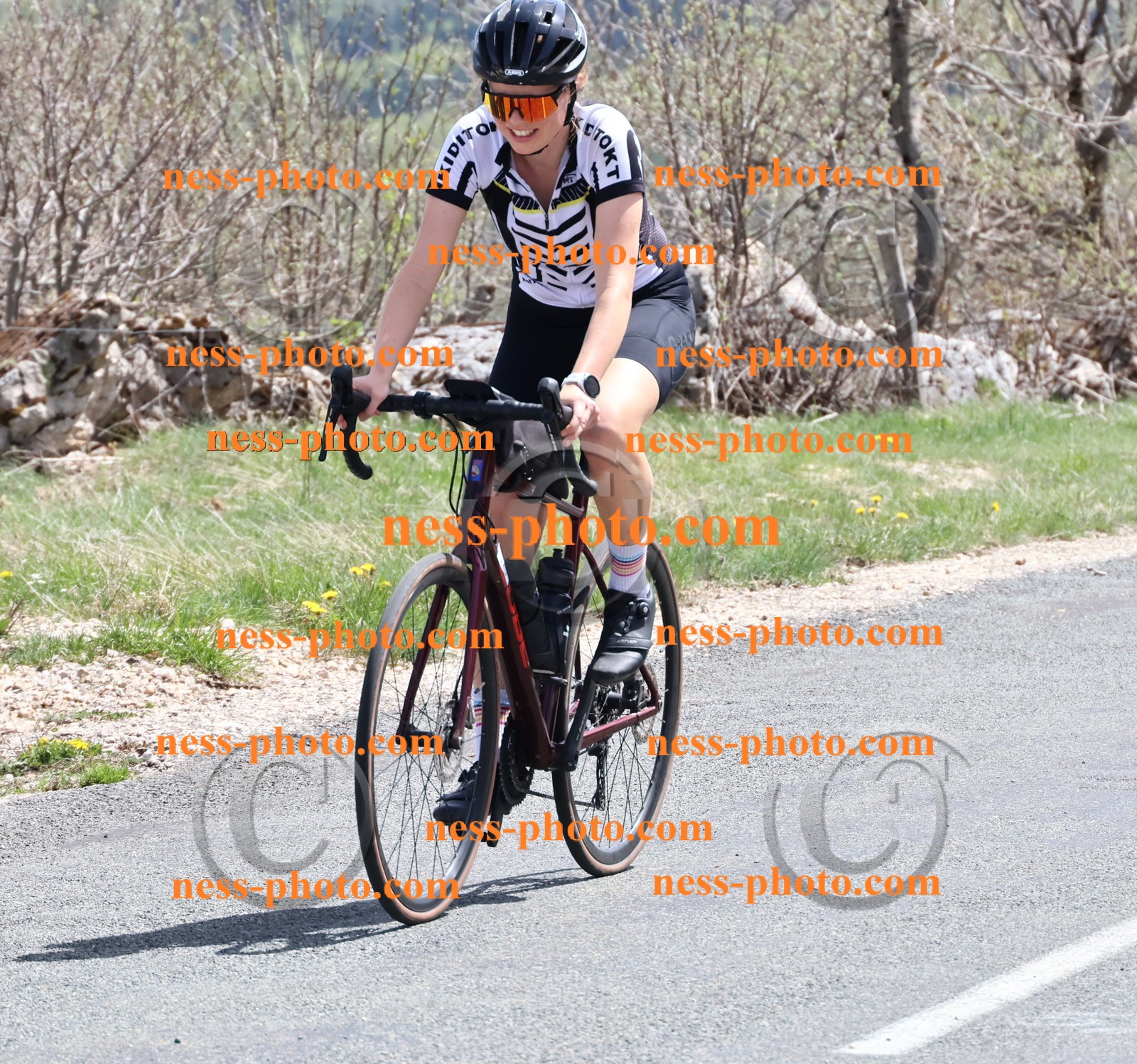 Col du Grand Colombier (870).JPG