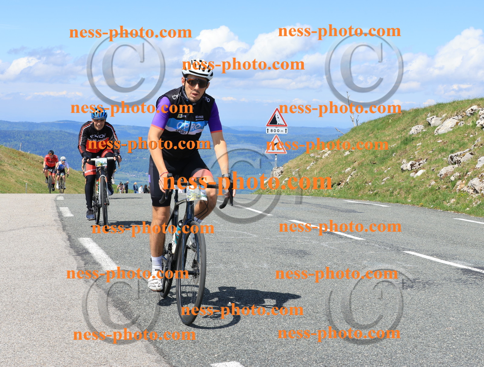 Col du Grand Colombier (1324).JPG