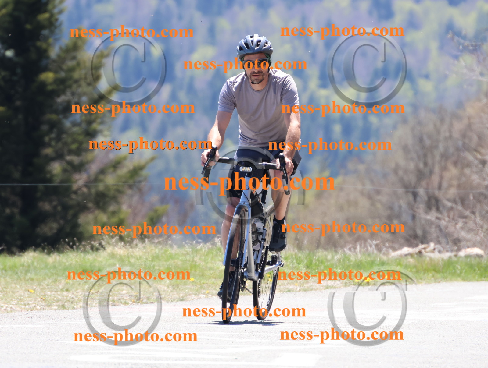 Col du Grand Colombier (562).JPG