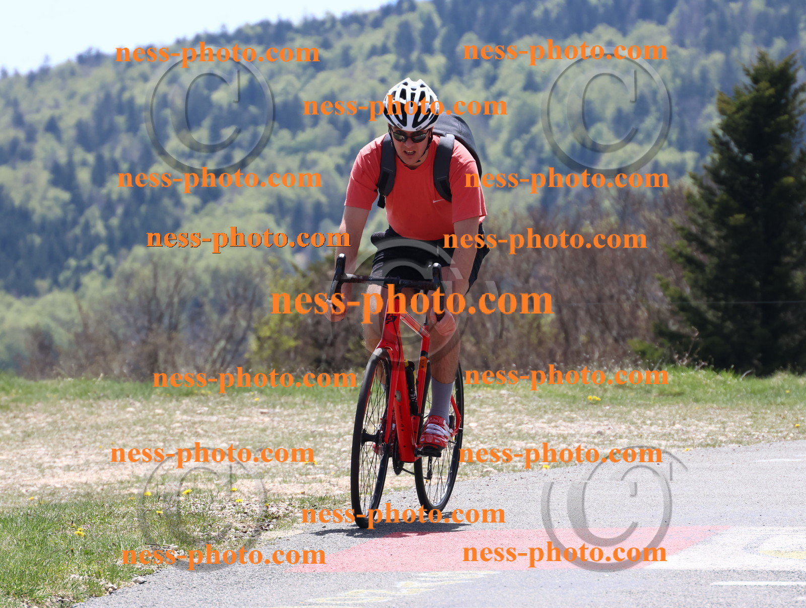 Col du Grand Colombier (507).JPG