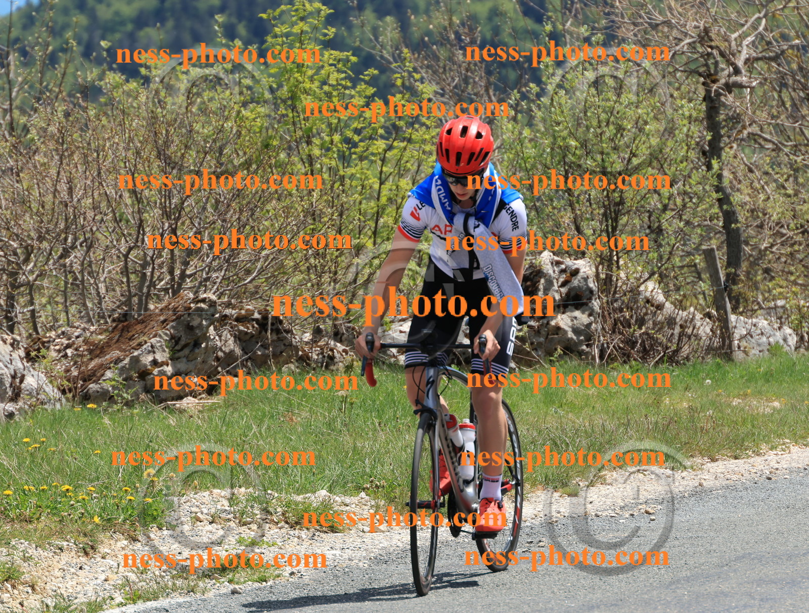 Col du Grand Colombier (524).JPG