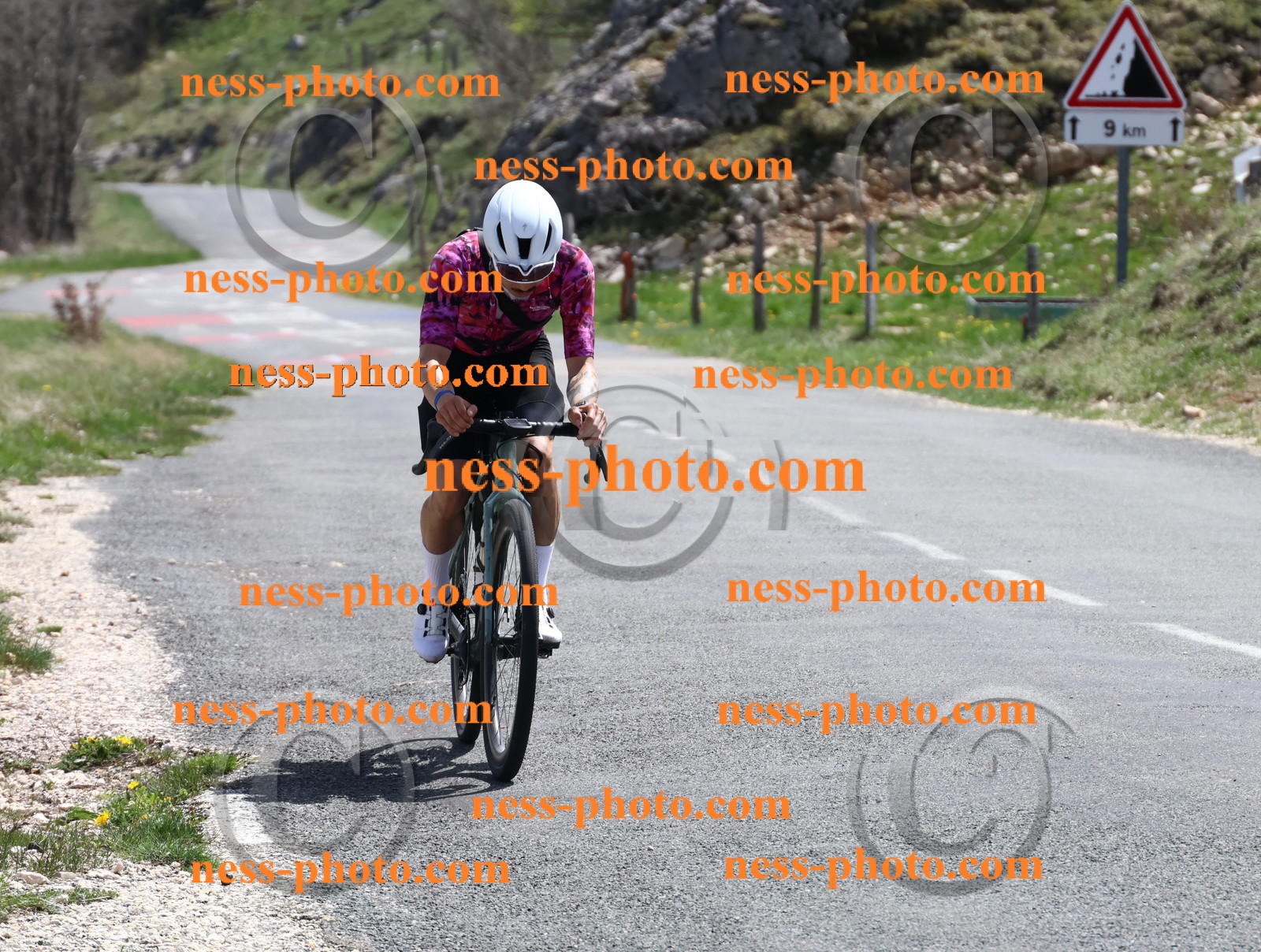 Col du Grand Colombier (927).JPG