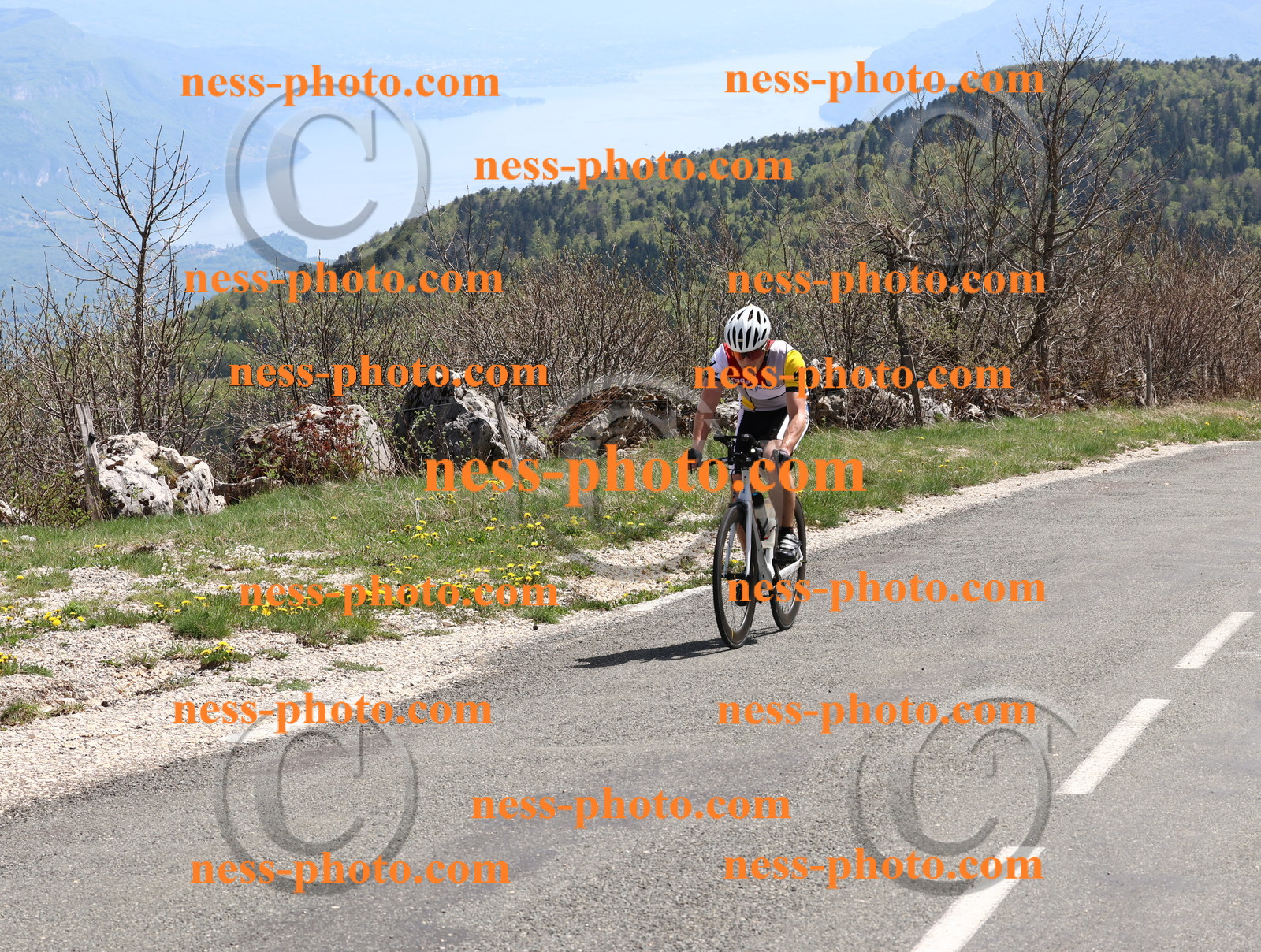 Col du Grand Colombier (852).JPG