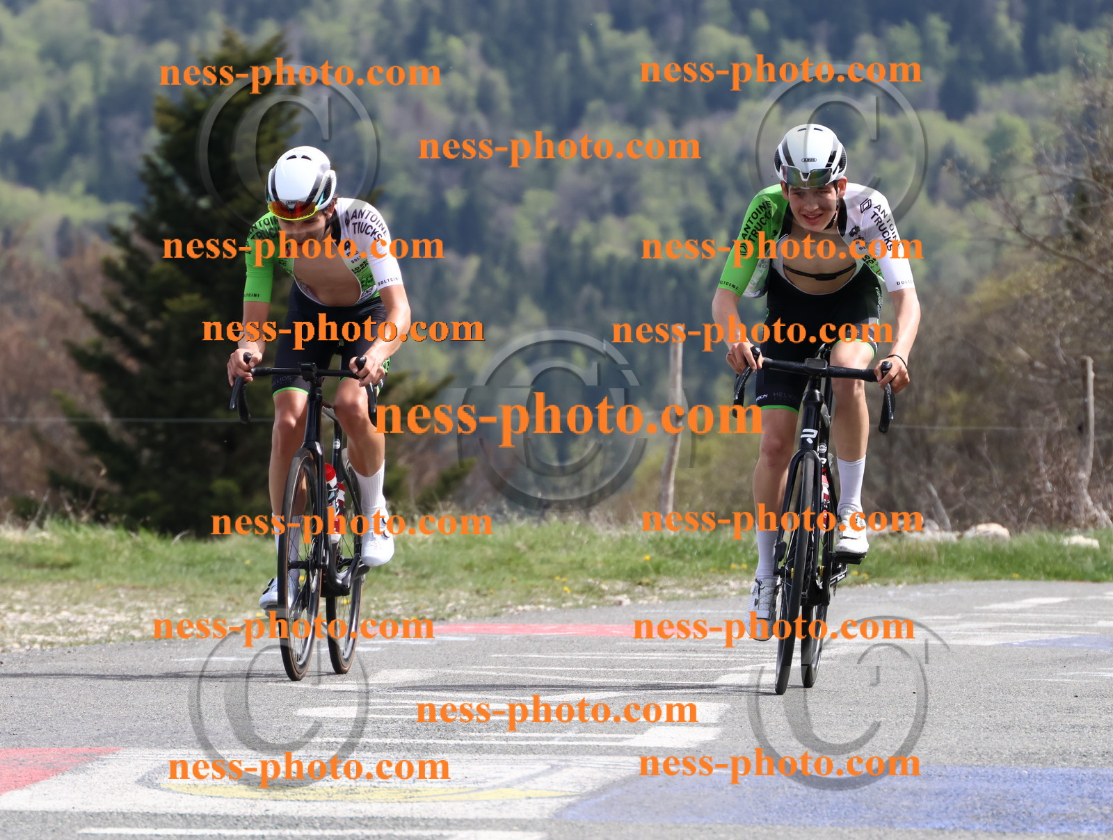 Col du Grand Colombier (1059).JPG