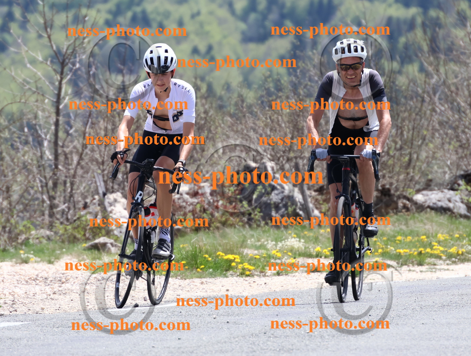 Col du Grand Colombier (751).JPG