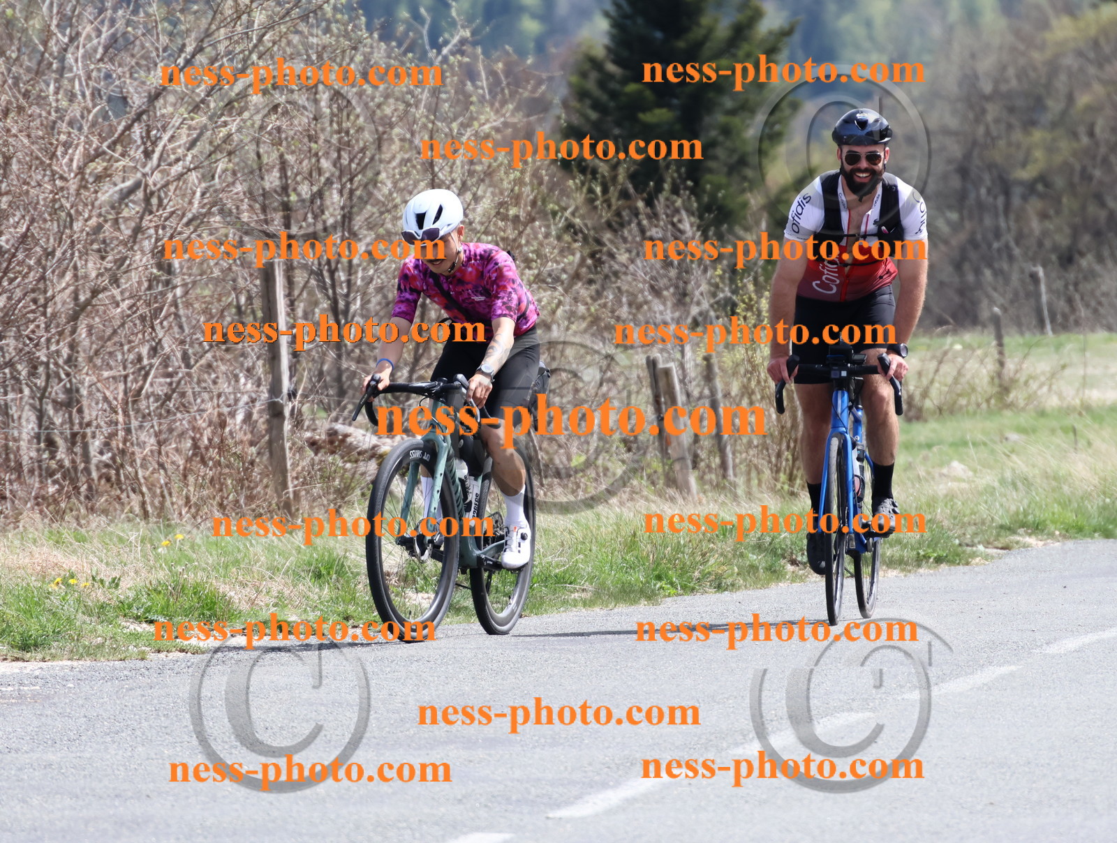 Col du Grand Colombier (982).JPG