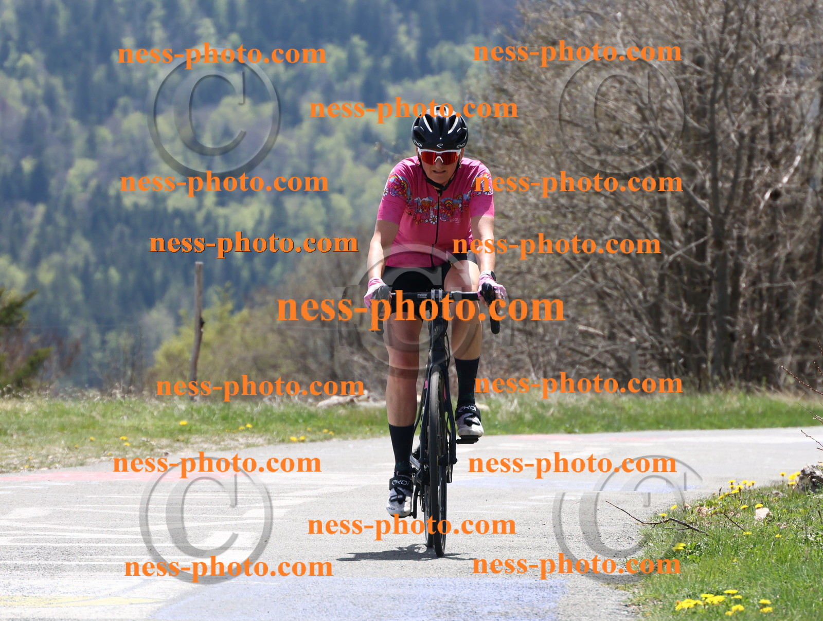 Col du Grand Colombier (630).JPG