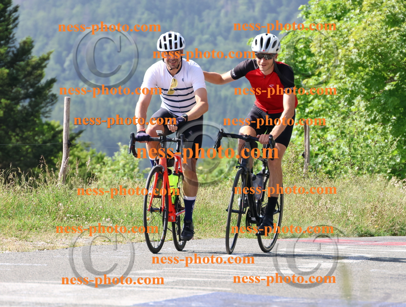 Col du grand Colombier (326).JPG