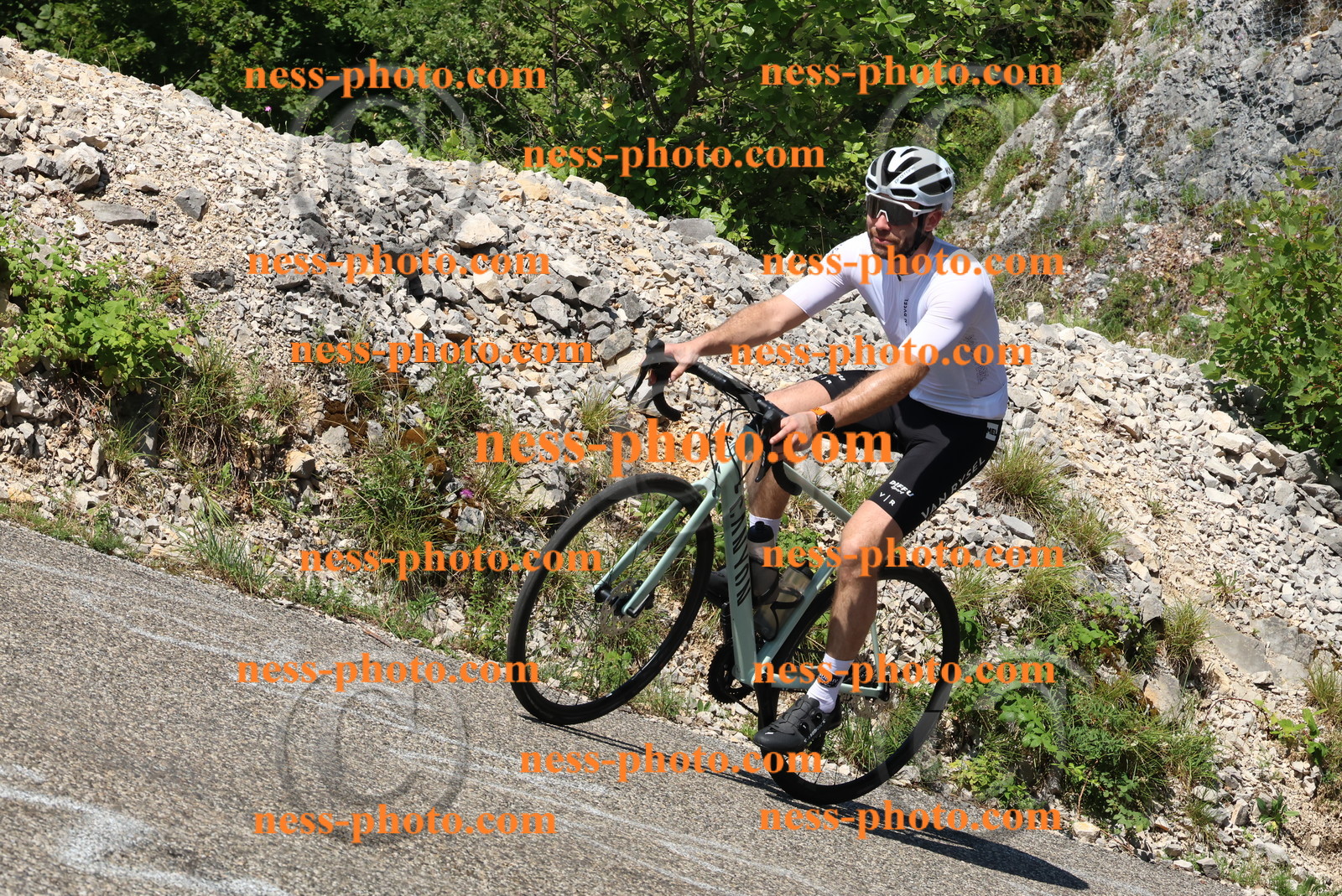 Col du Grand Colombier (304).JPG