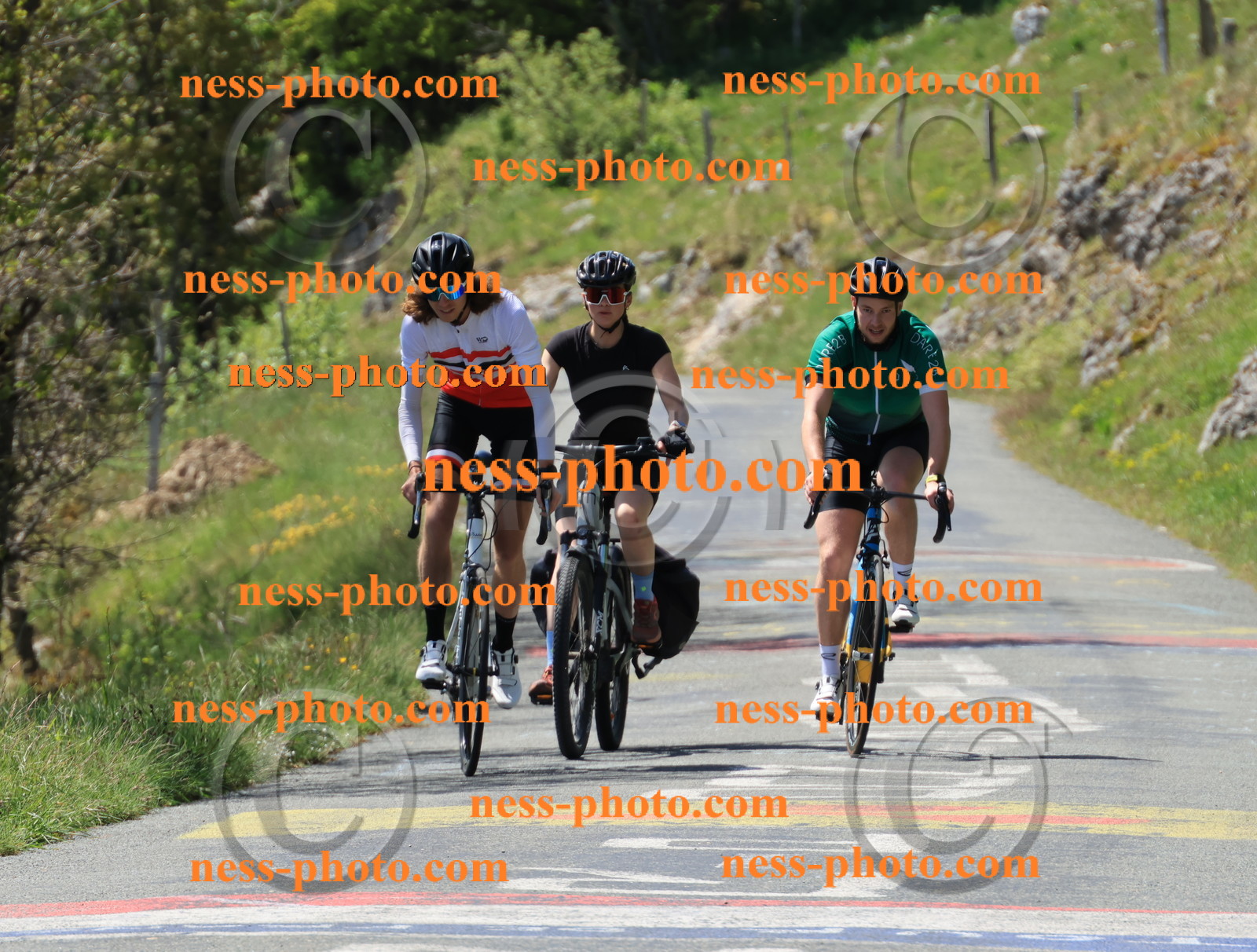 Col du Grand Colombier (38).JPG