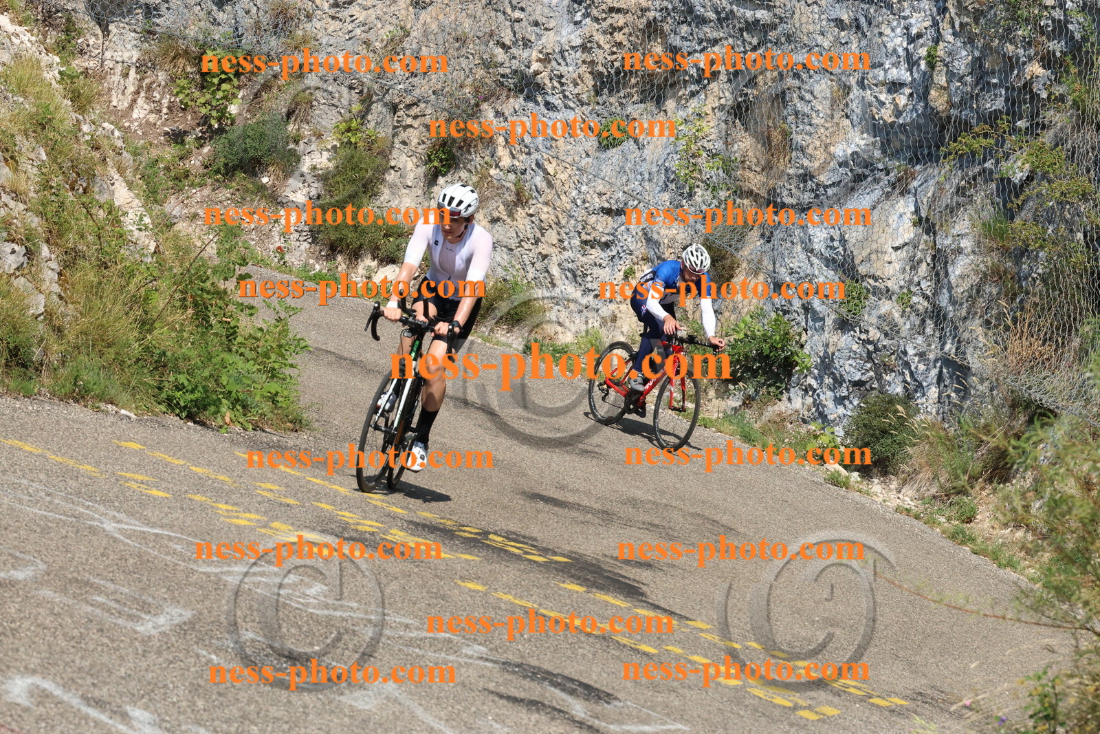 Col du Grand Colombier (386).JPG