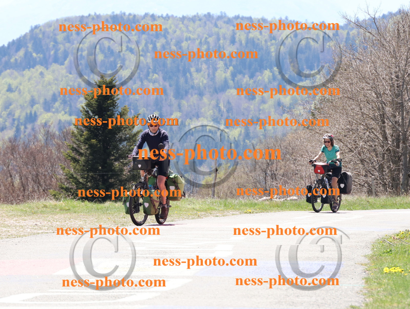 Col du Grand Colombier (437).JPG