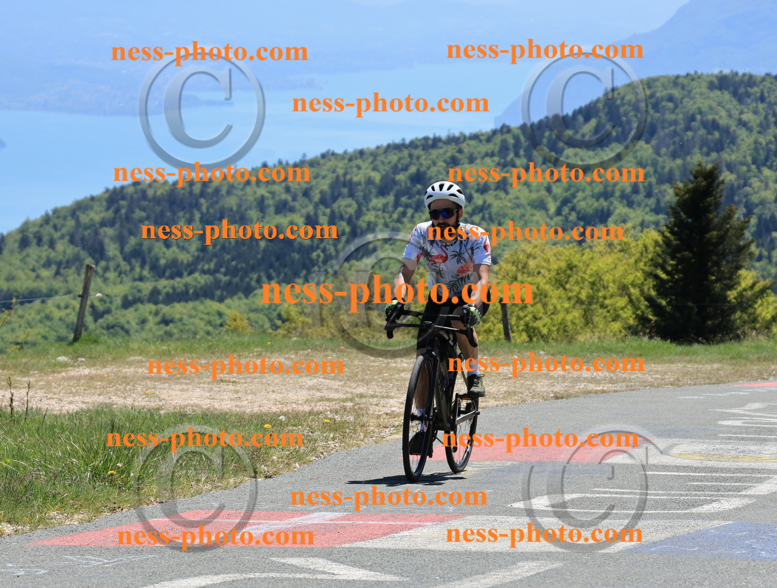 Col du Grand Colombier (418).JPG
