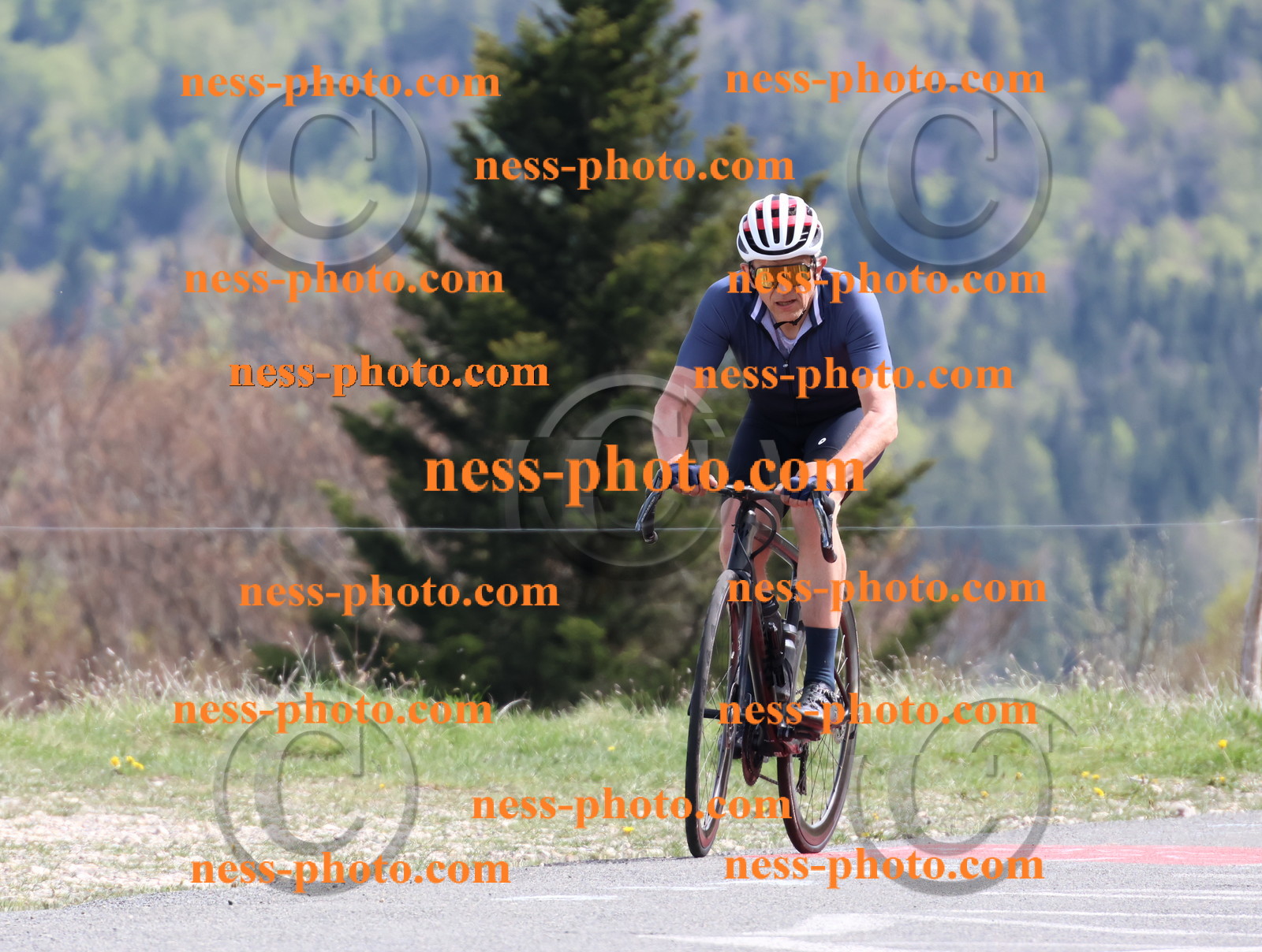 Col du Grand Colombier (1038).JPG