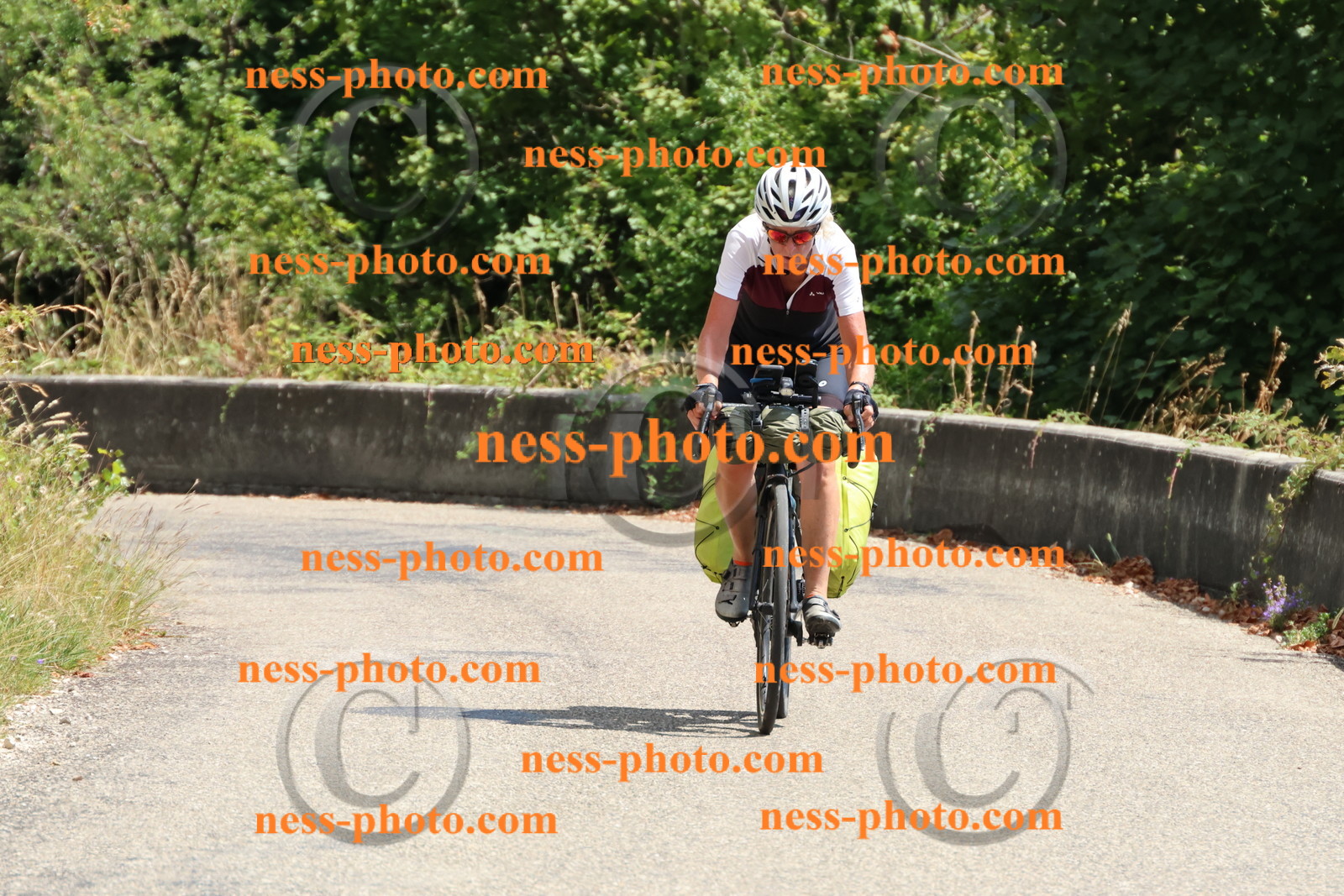 Col du Grand Colombier (403).JPG