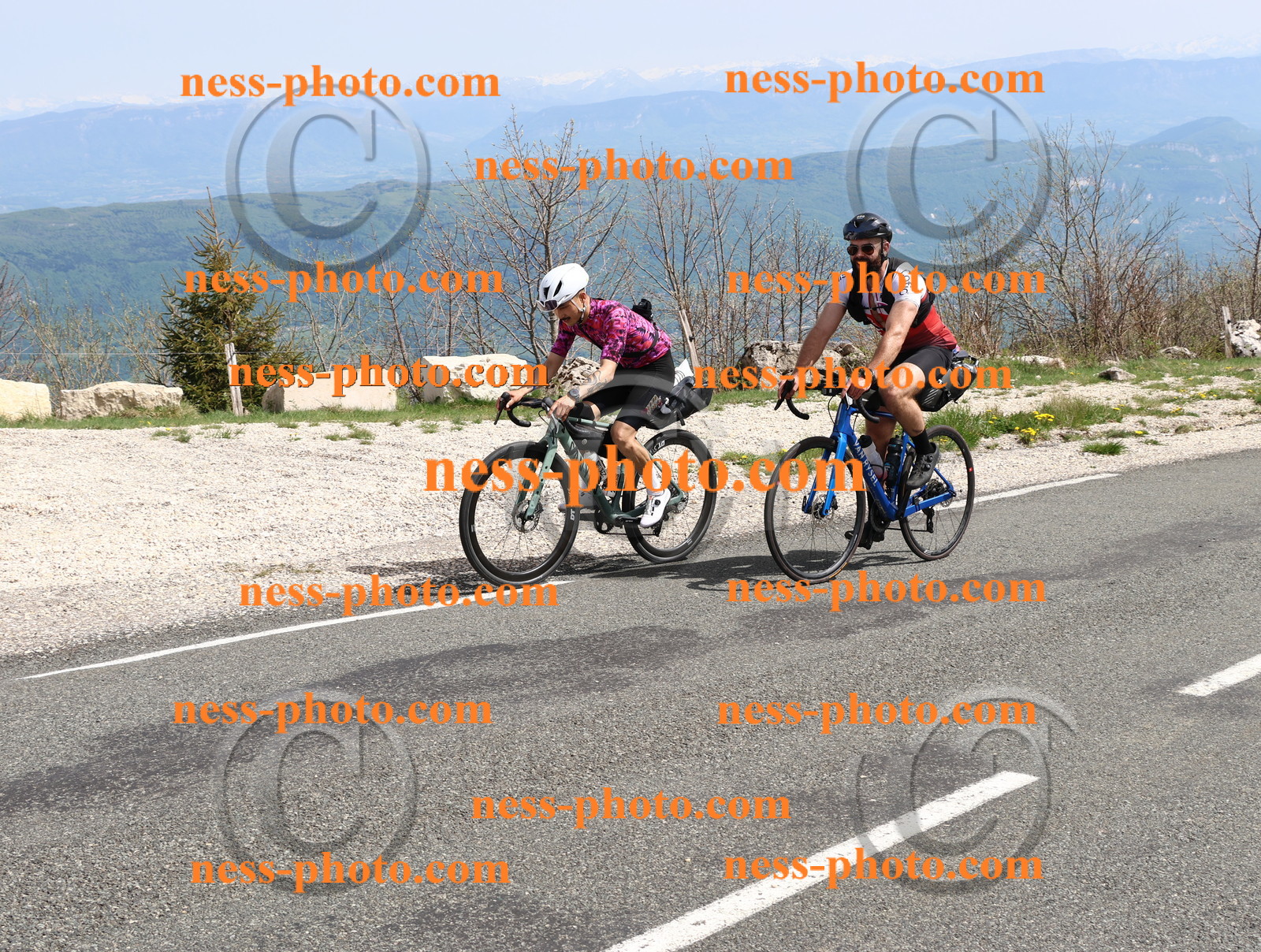 Col du Grand Colombier (994).JPG