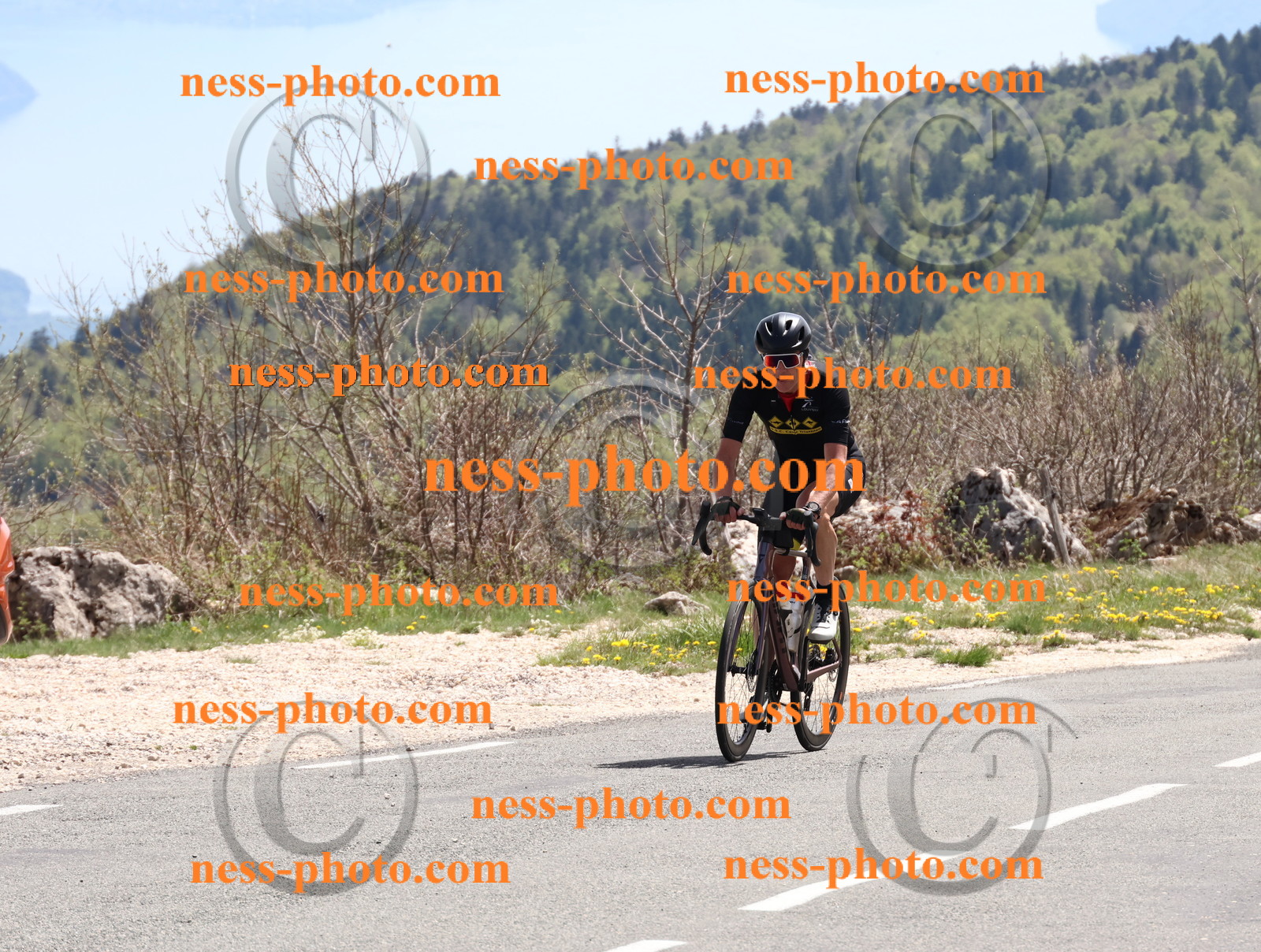 Col du Grand Colombier (787).JPG