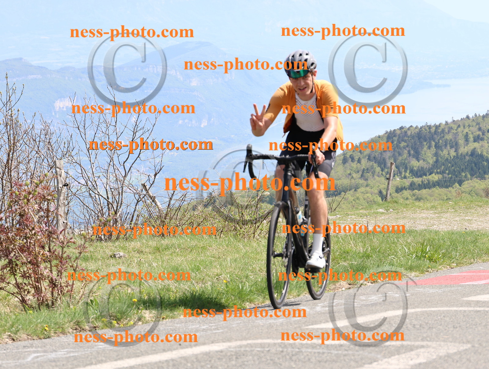 Col du Grand Colombier (945).JPG