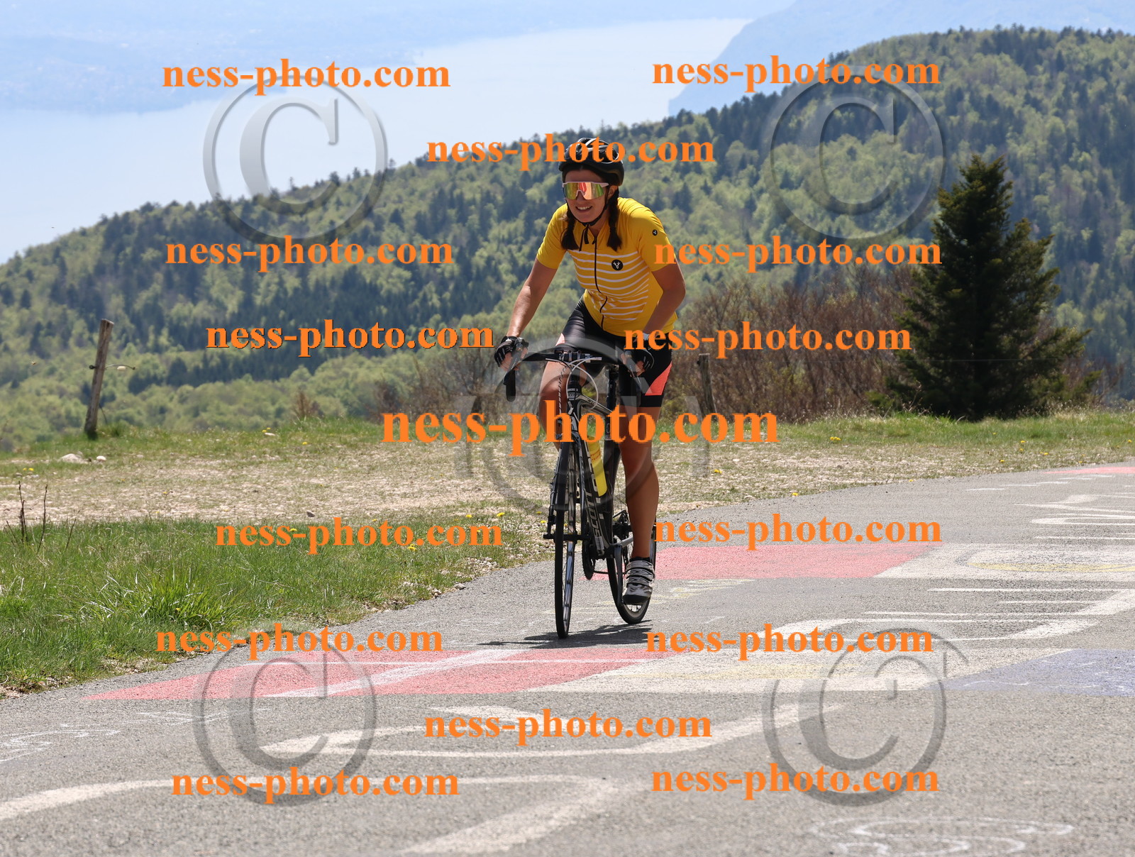 Col du Grand Colombier (473).JPG