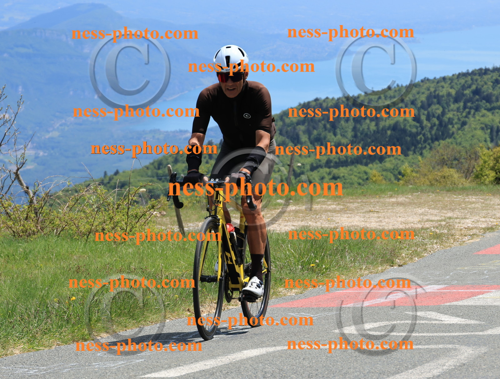 Col du Grand Colombier (504).JPG