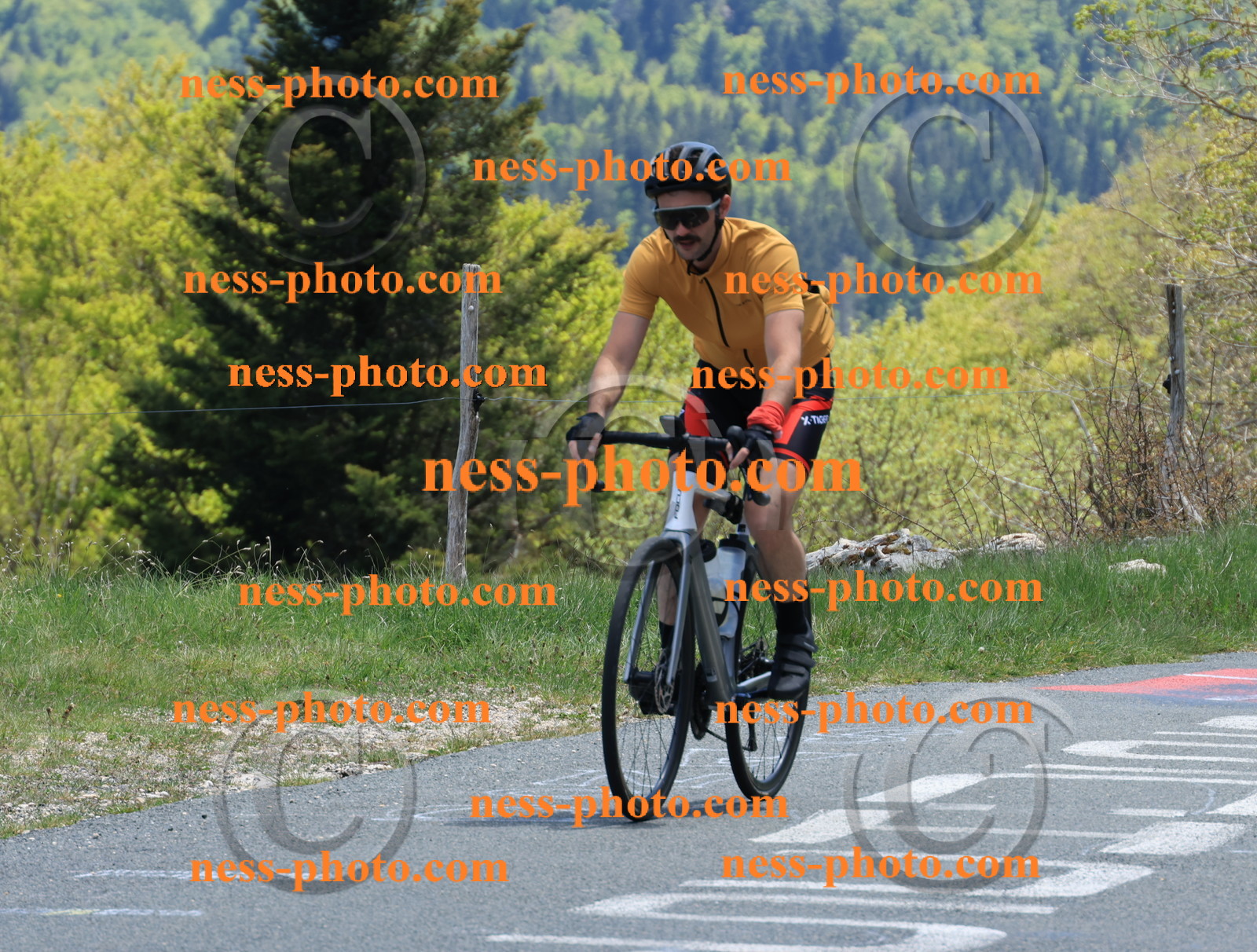 Col du Grand Colombier (486).JPG