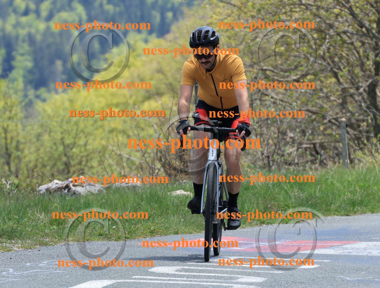 Col du Grand Colombier (485).JPG