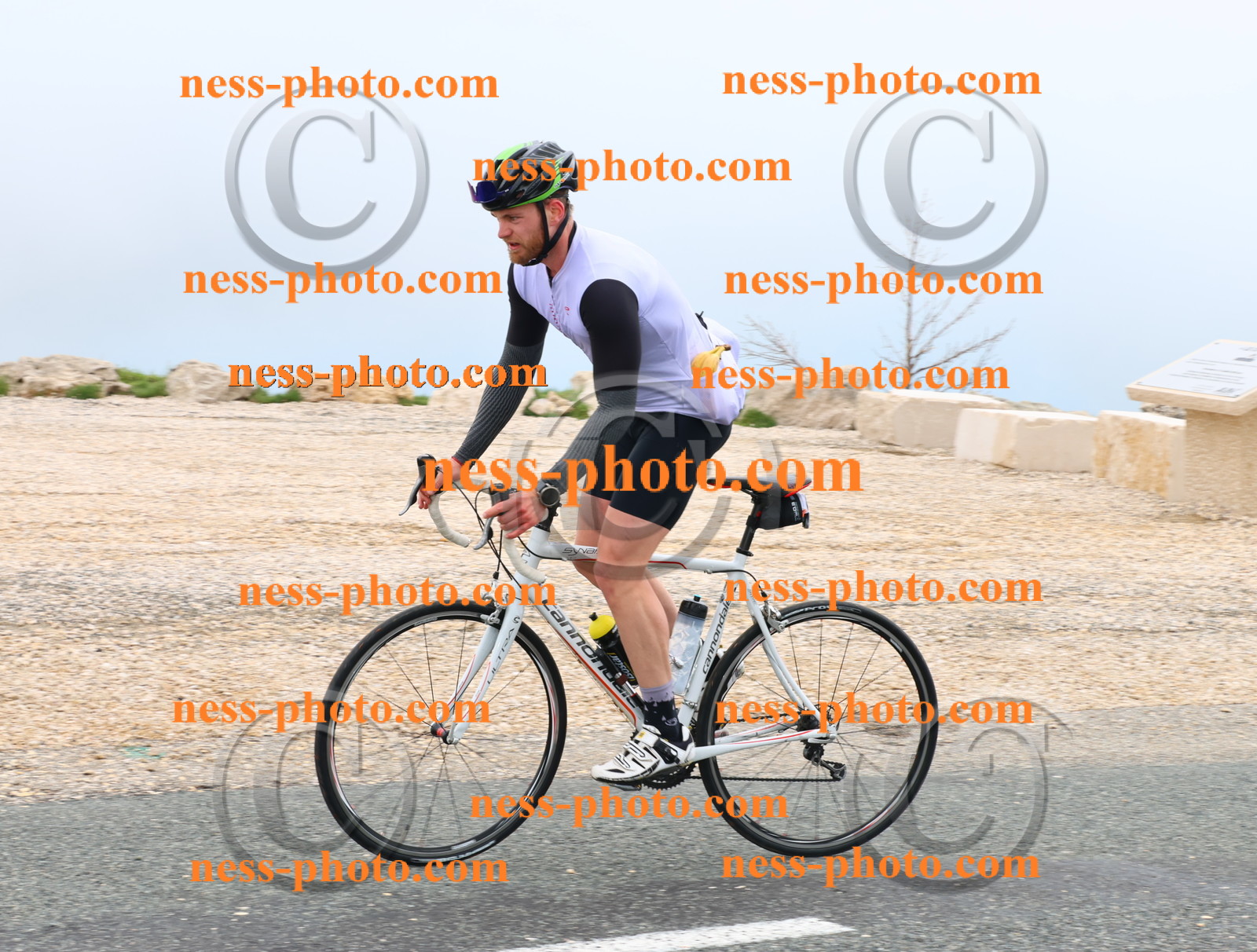 Col du Grand Colombier (55).JPG