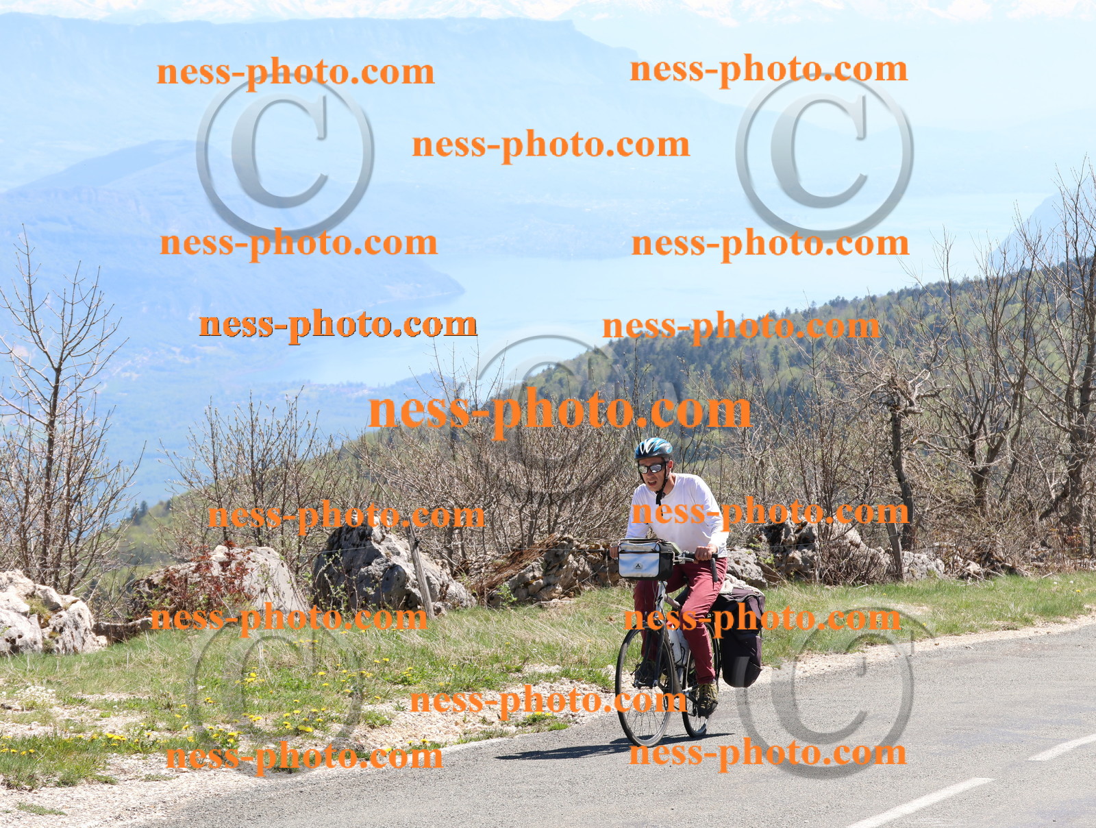 Col du Grand Colombier (854).JPG