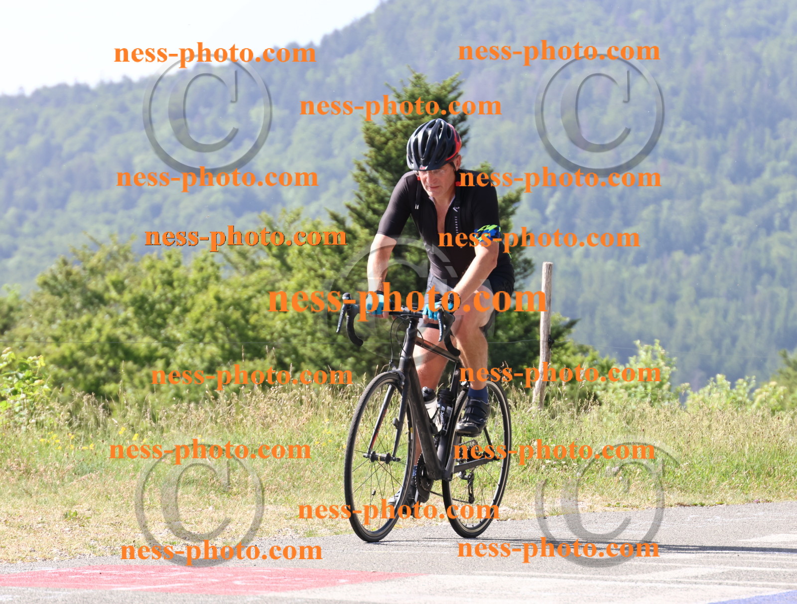 Col du grand Colombier (344).JPG