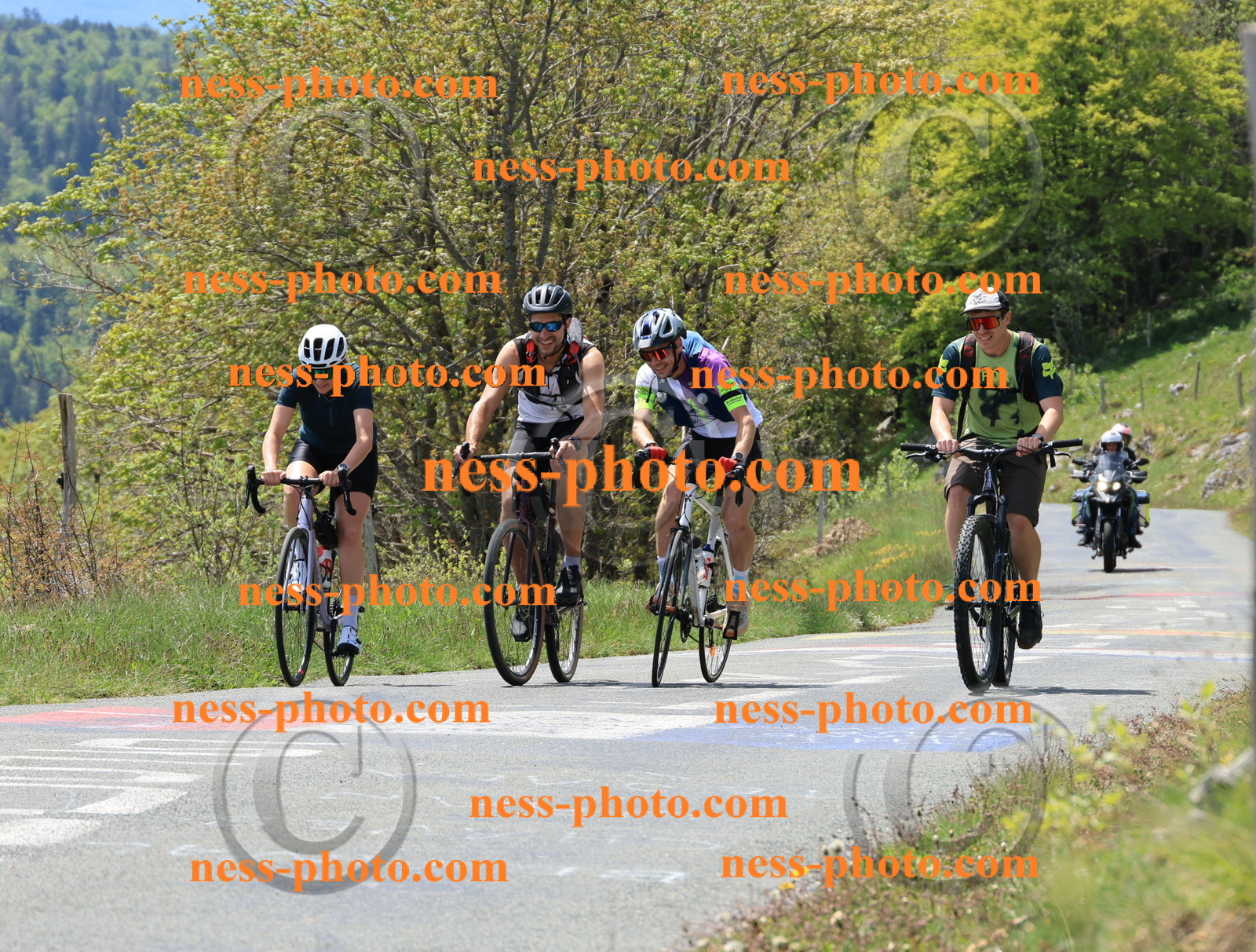 Col du Grand Colombier (276).JPG