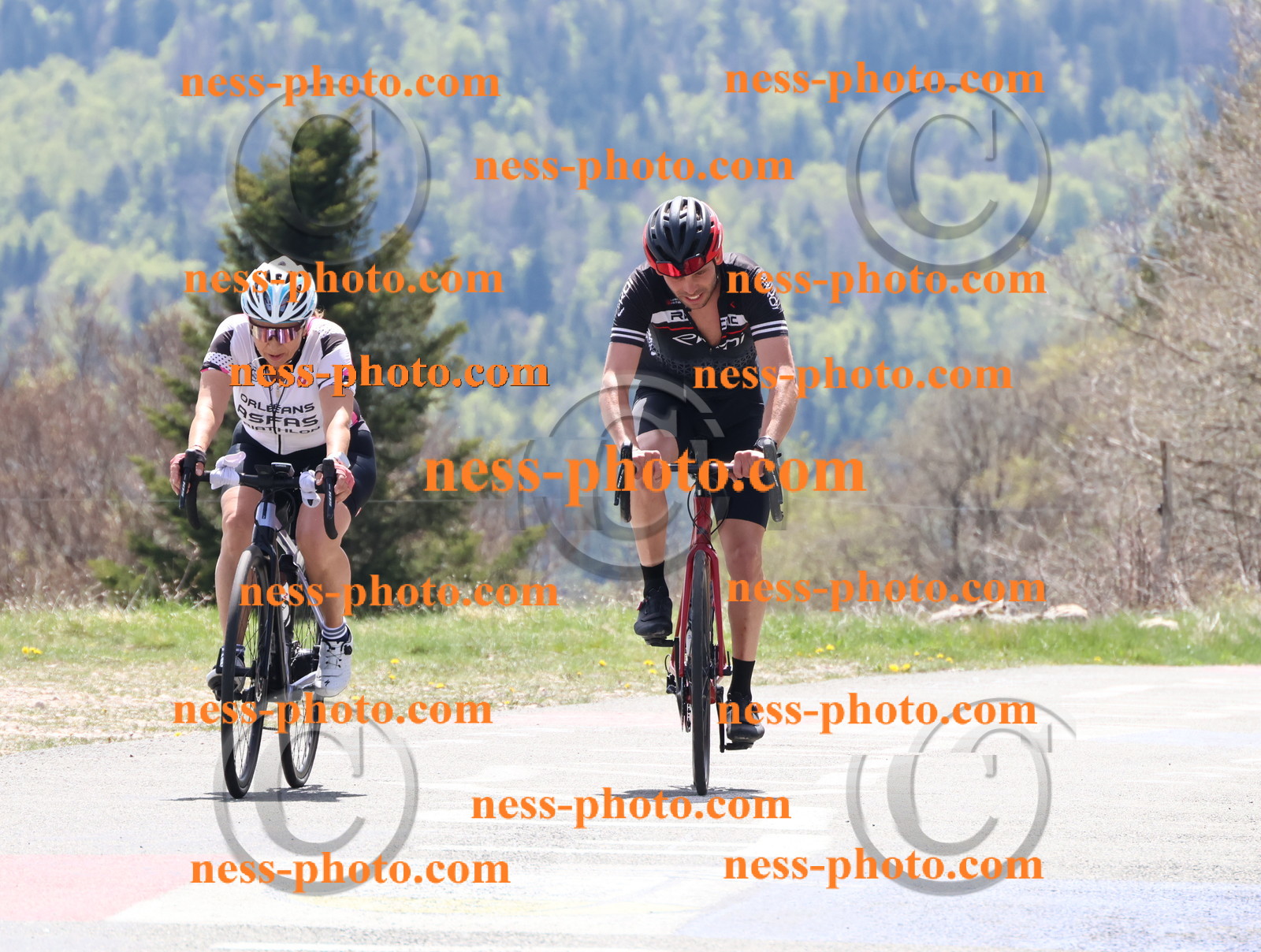 Col du Grand Colombier (464).JPG