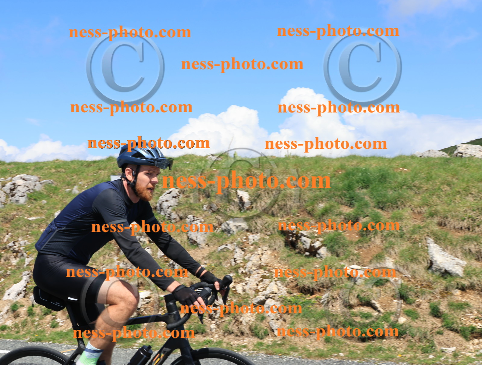 Col du Grand Colombier (1404).JPG