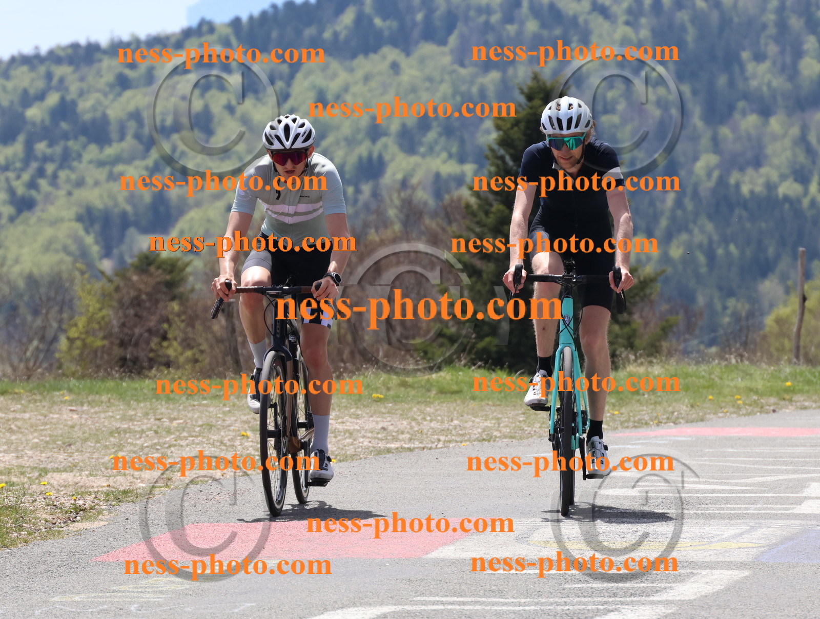 Col du Grand Colombier (236).JPG