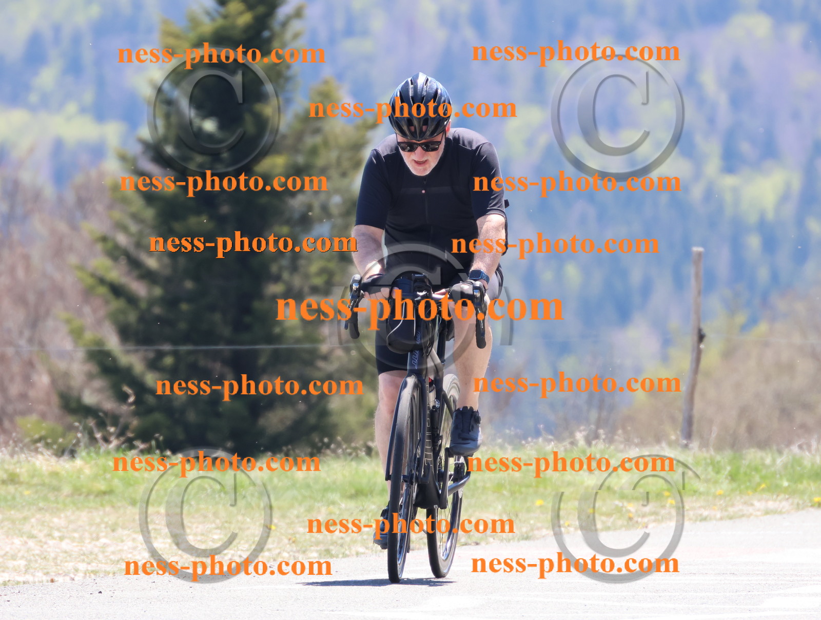 Col du Grand Colombier (675).JPG